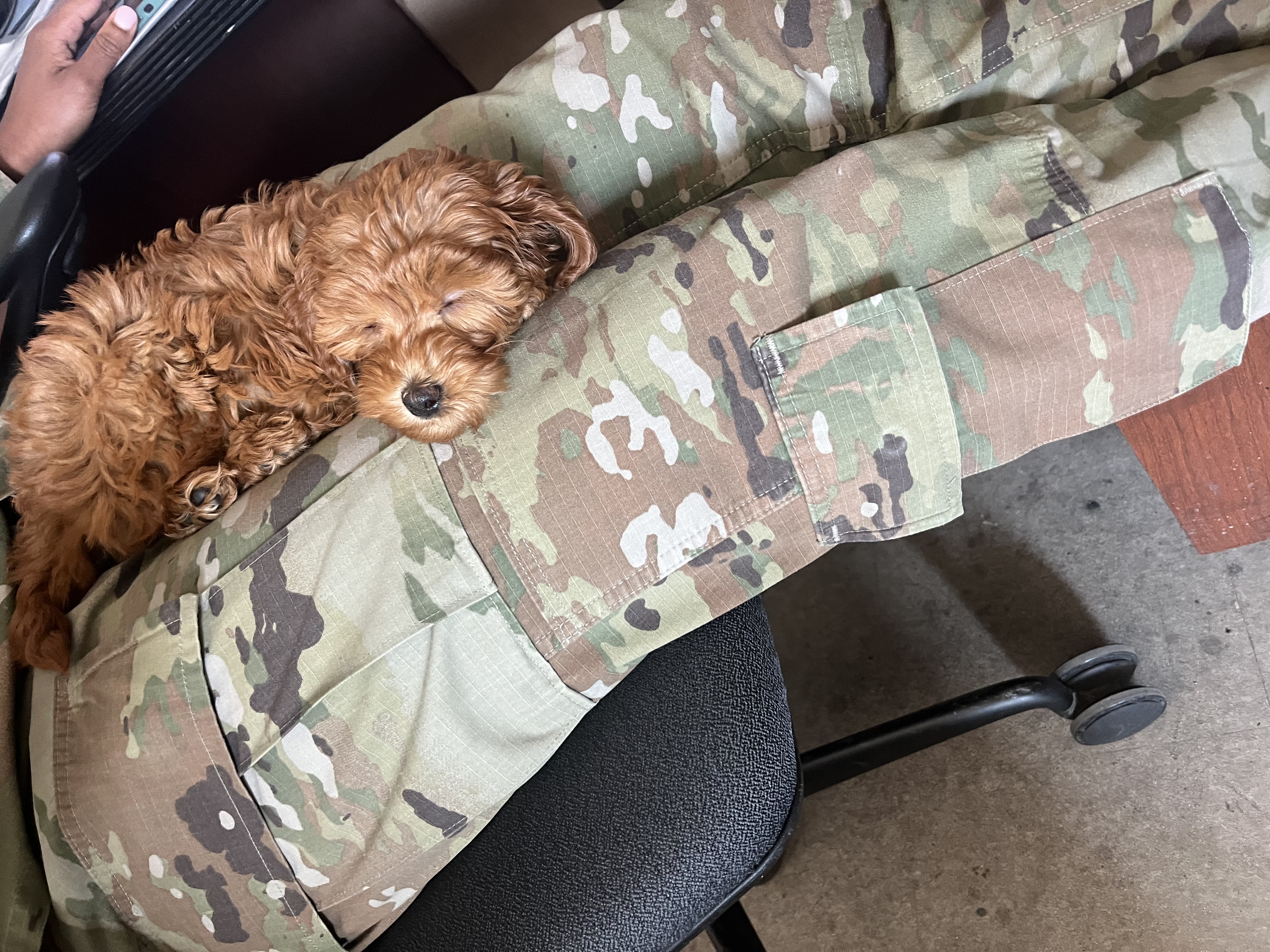 Photo Review Submission from Marcus Bright