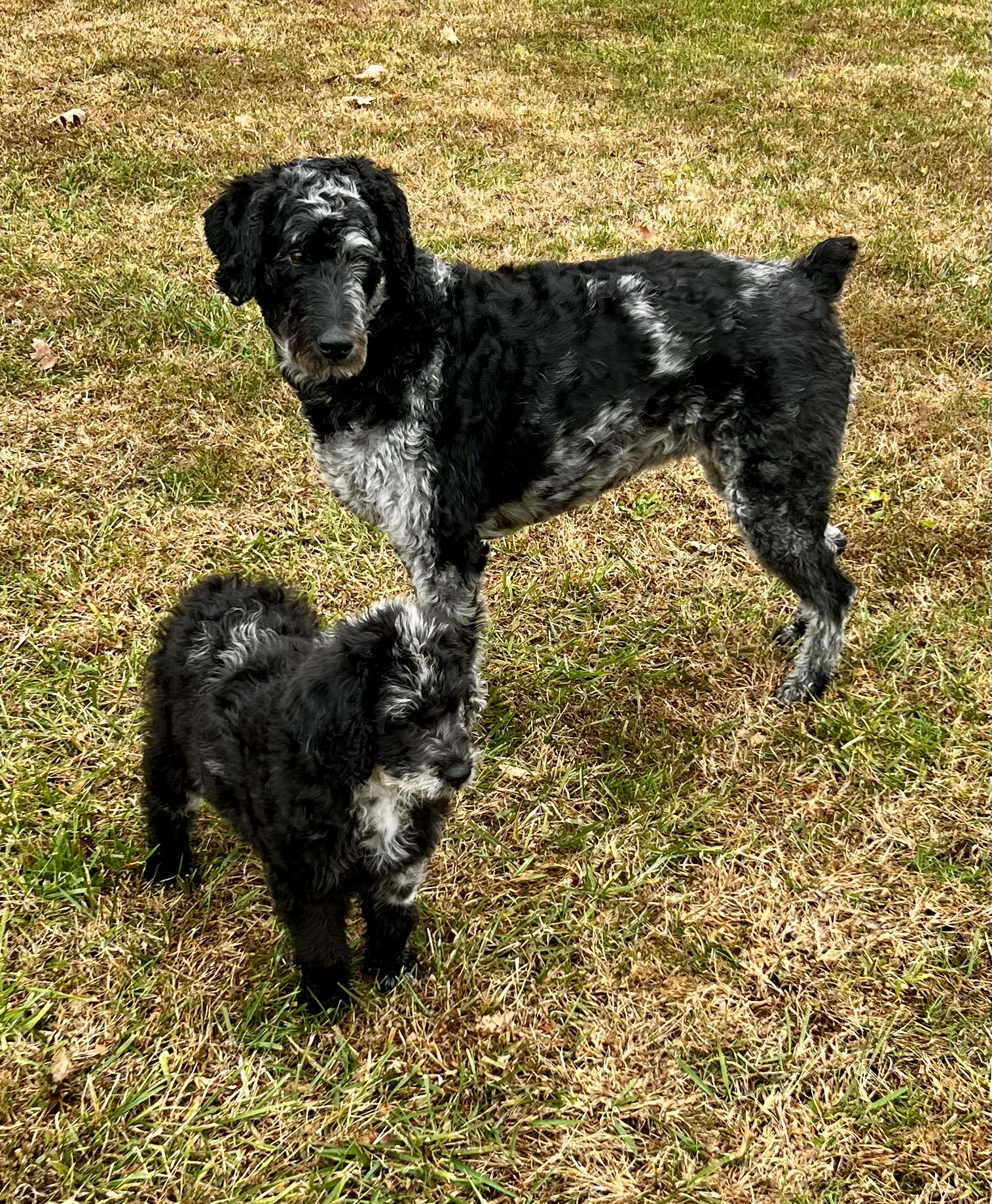 Photo Review Submission from Nancy Wilson