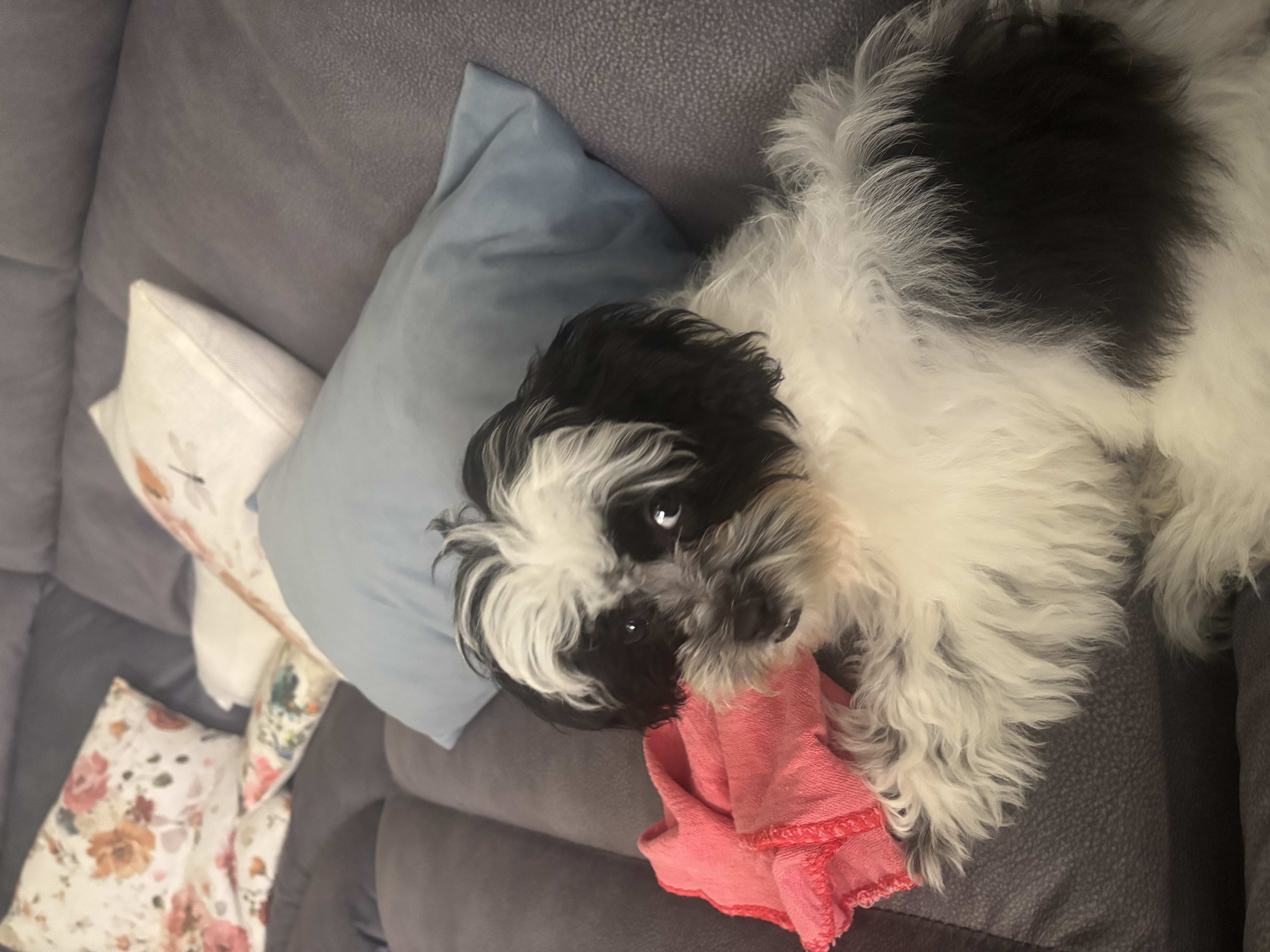 Photo Review Submission from Judy Thomas