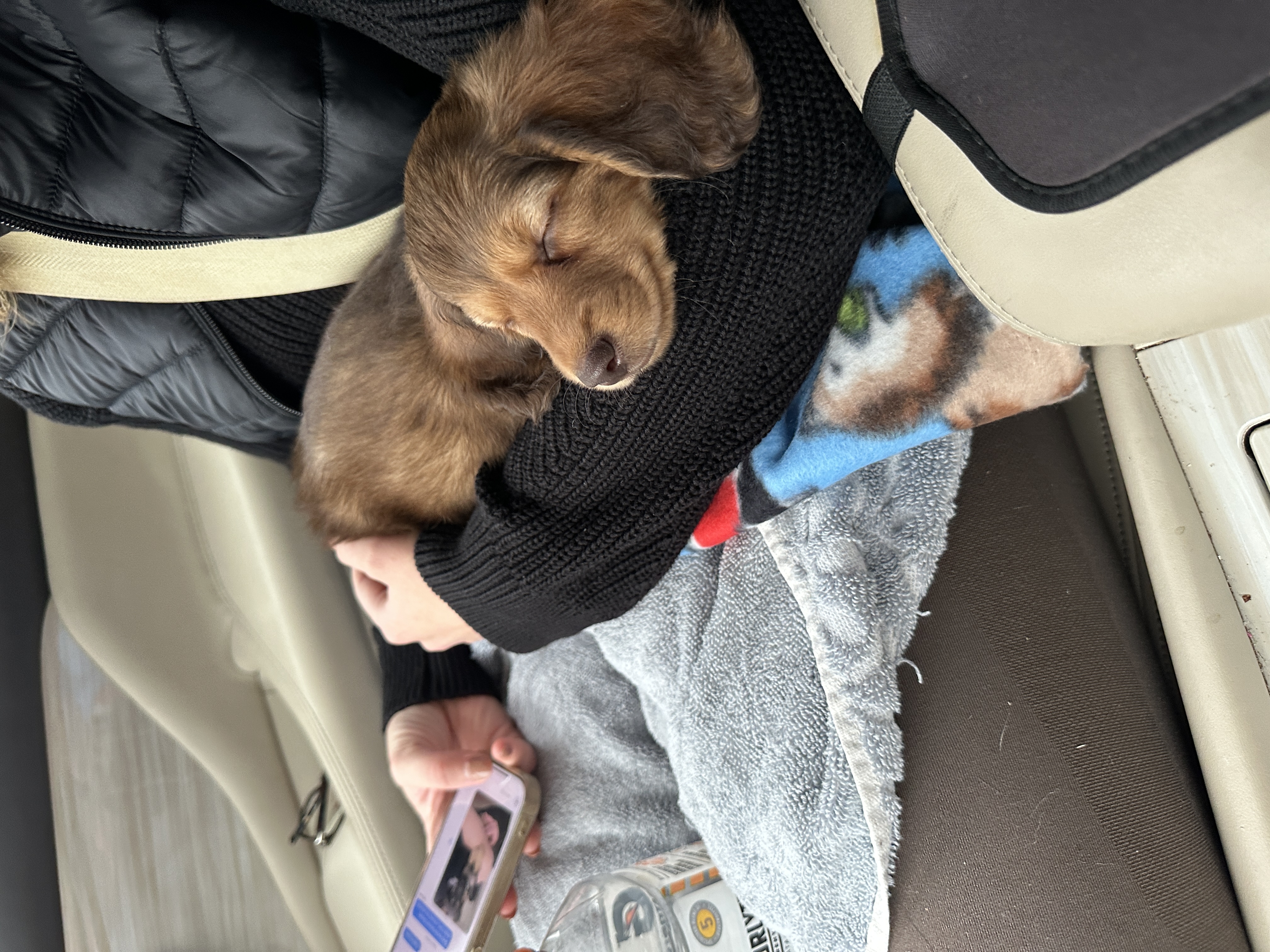 Photo Review Submission from Ashlee Pataky