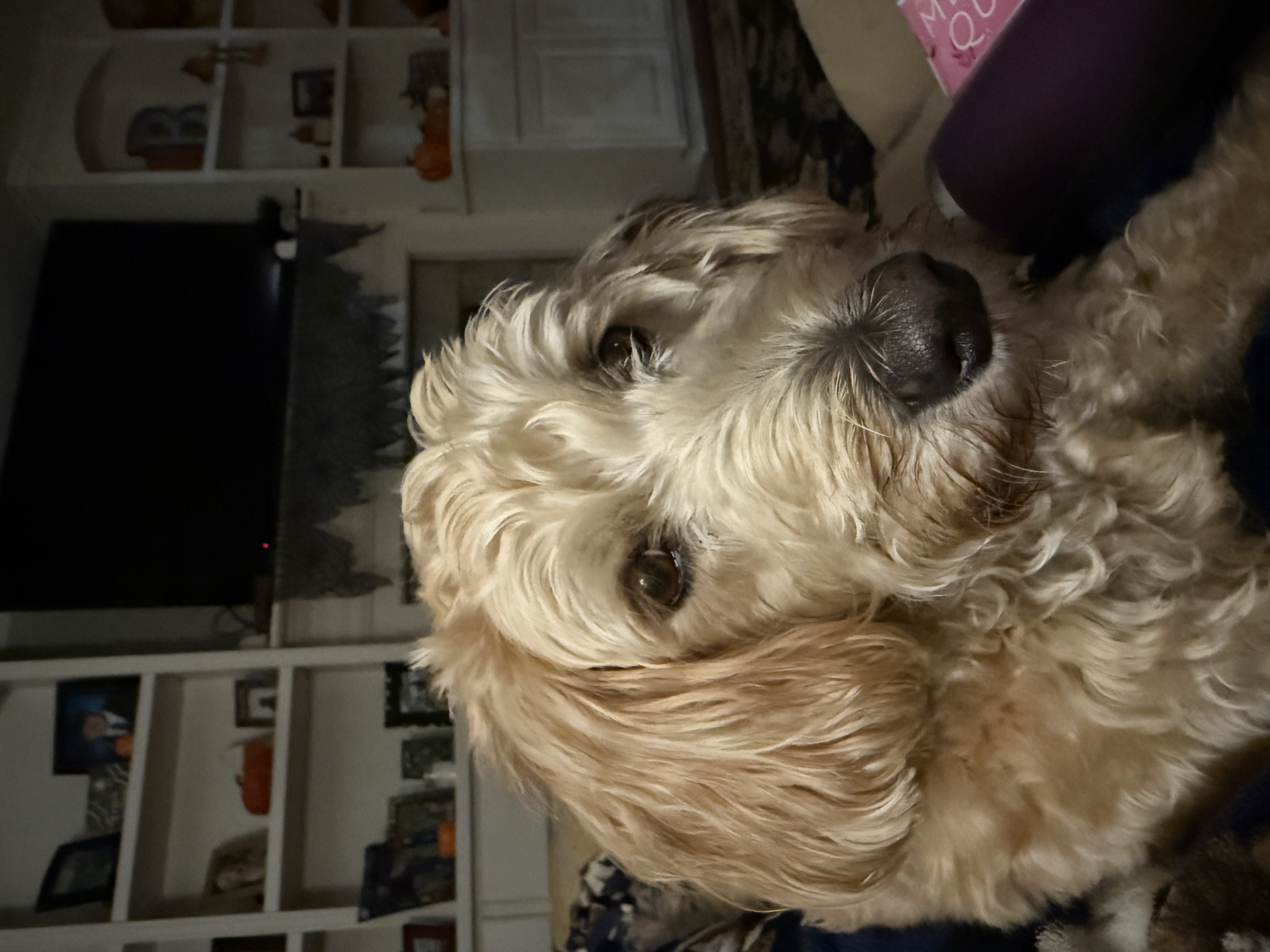 Photo Review Submission from Janelle Bushong