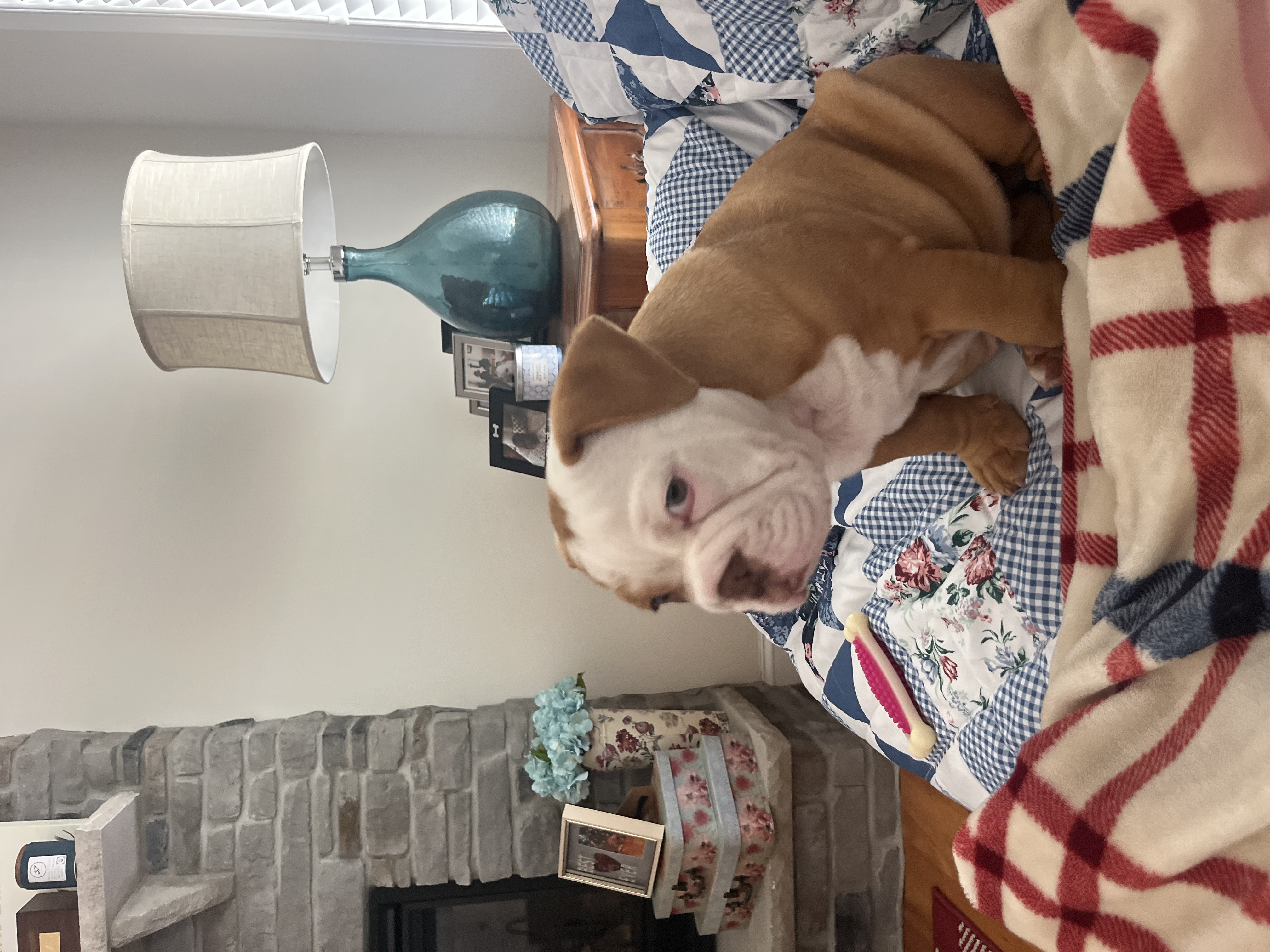 Photo Review Submission from Bobby Kennedy