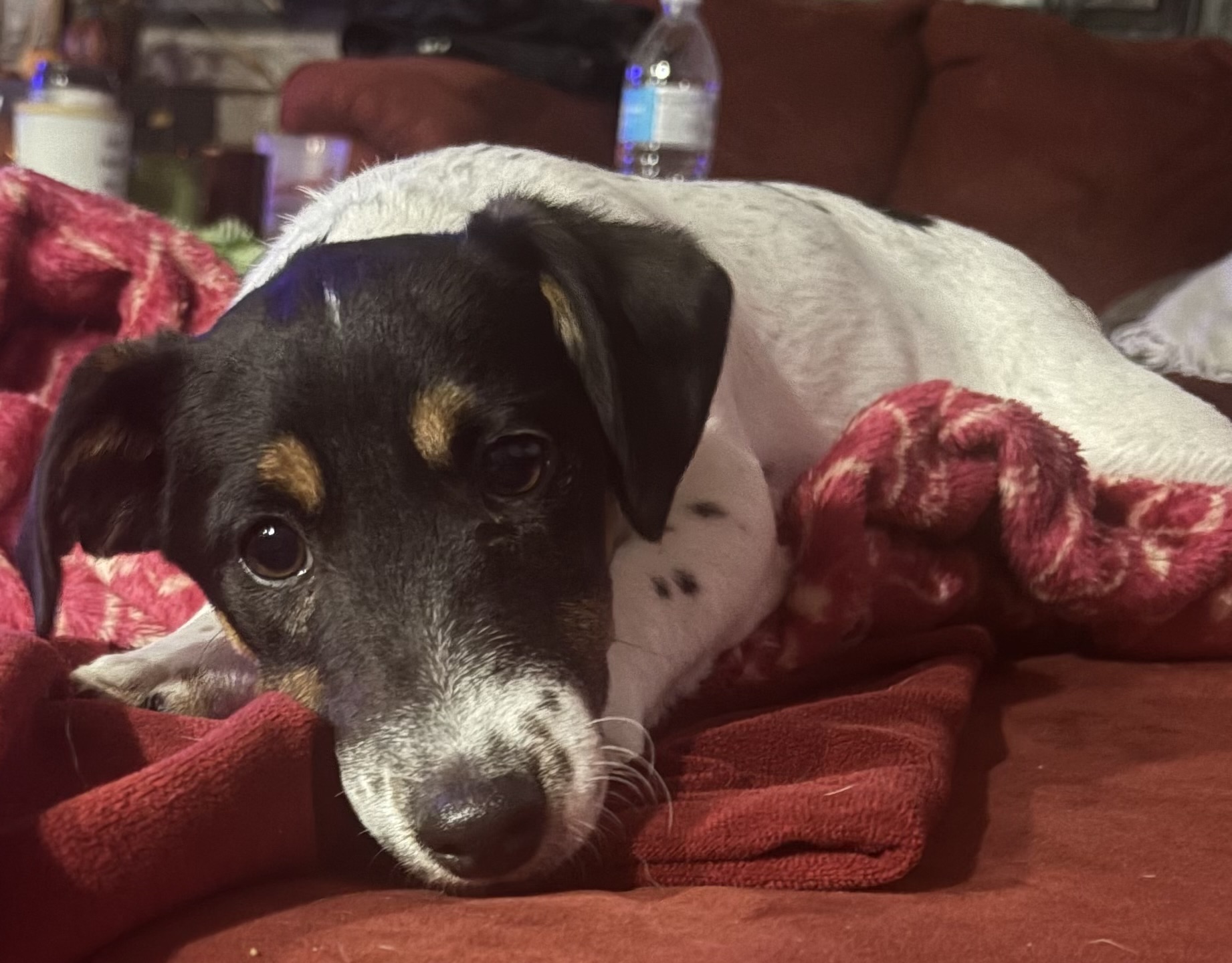 Photo Review Submission from Tatiana Wetzel