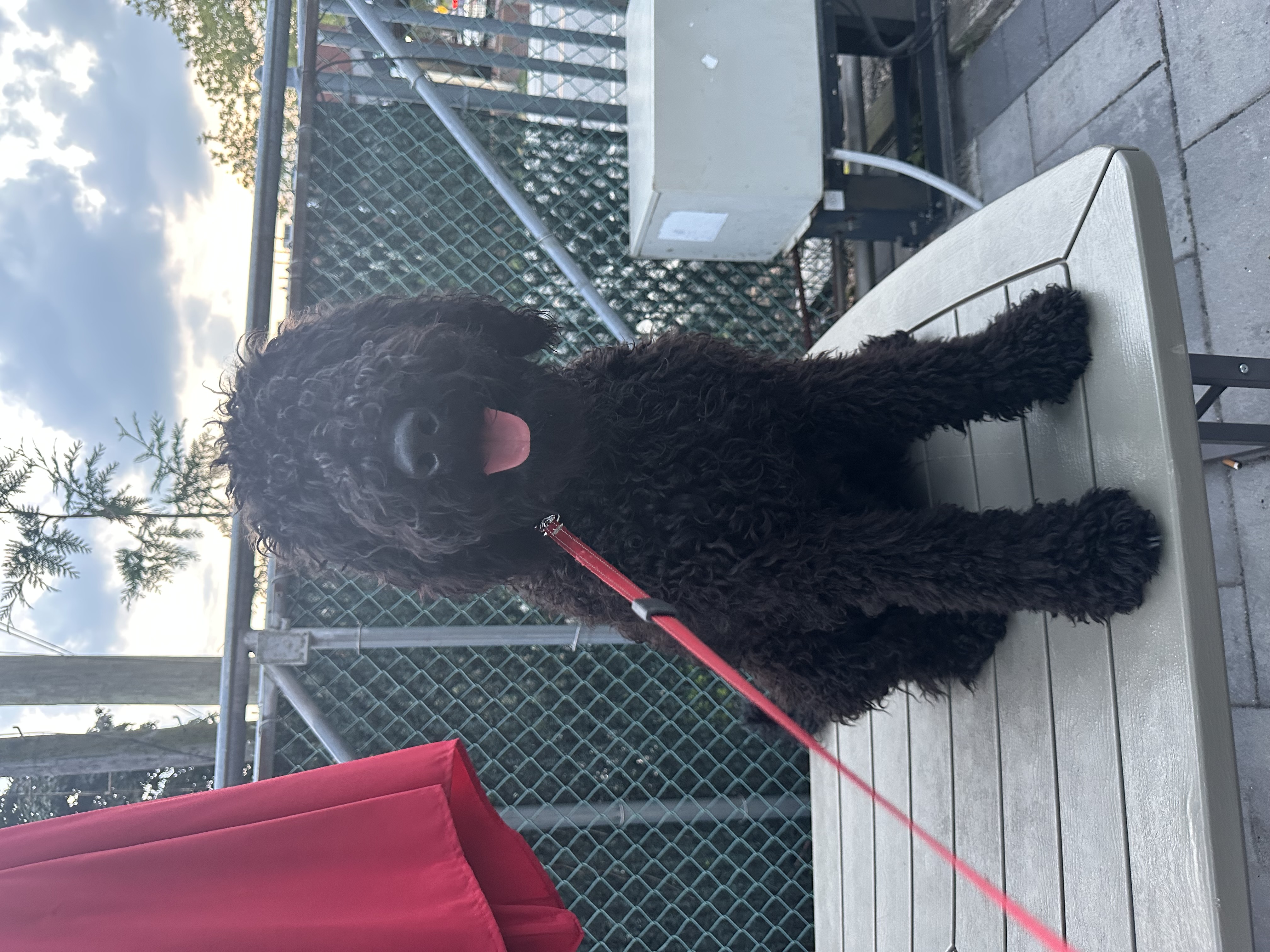 Photo Review Submission from Walter Reyes