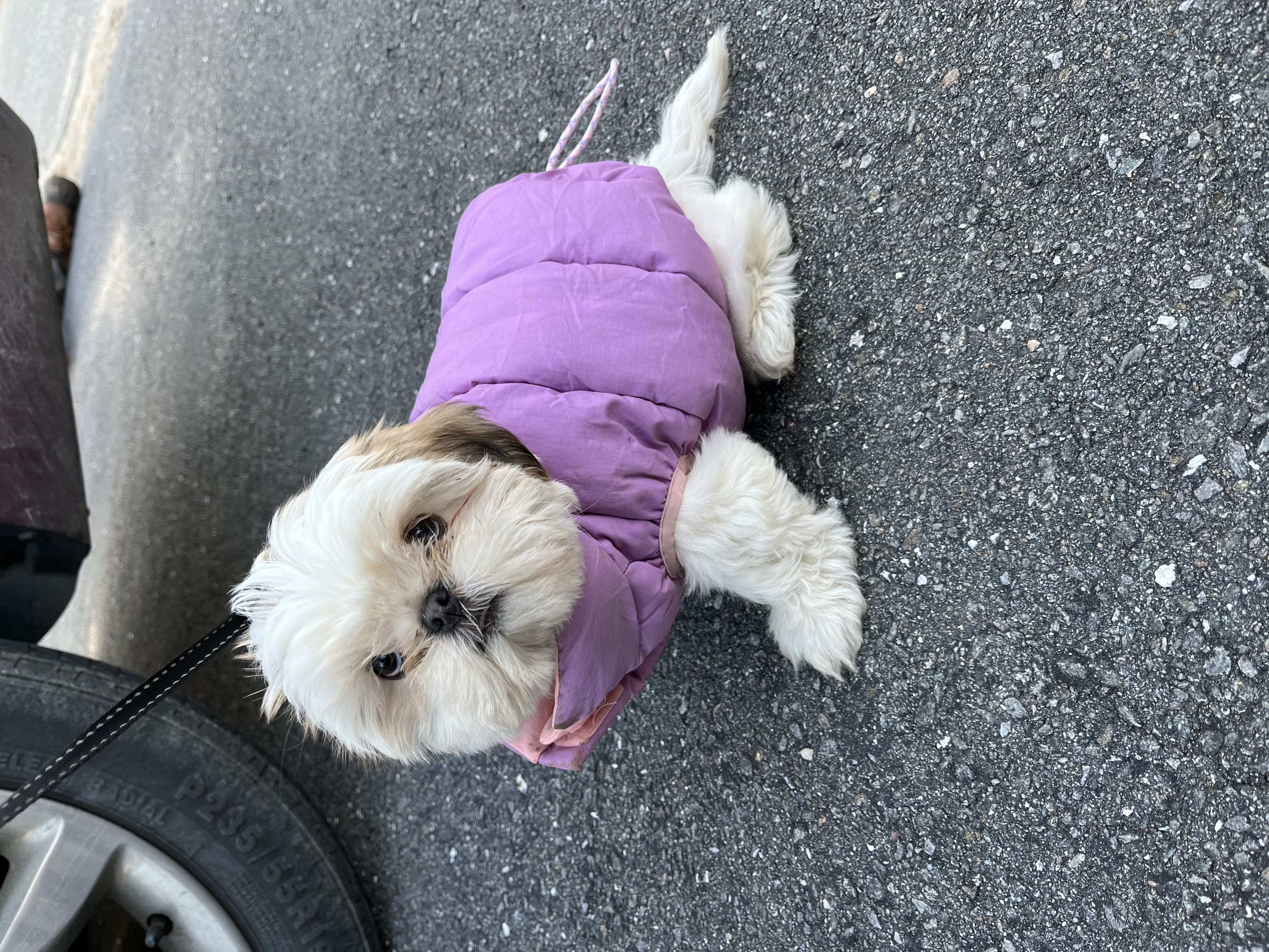 Photo Review Submission from Brooke Amidon