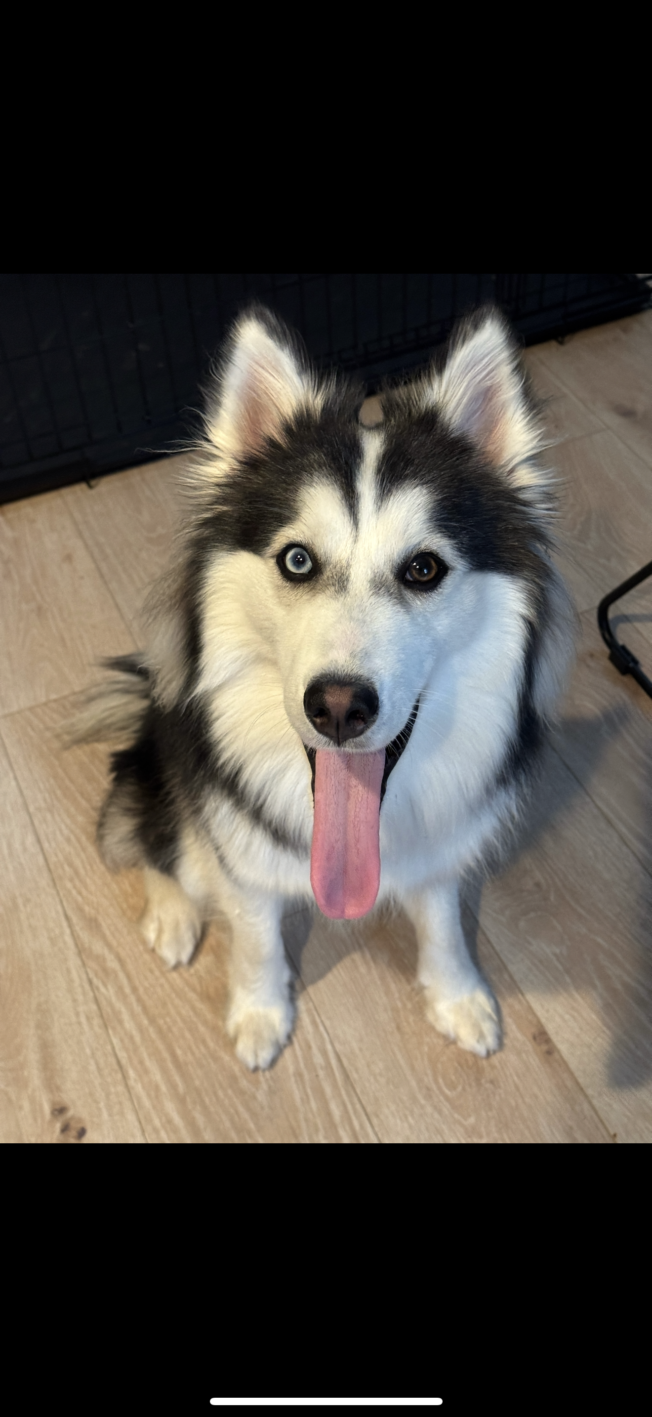 Photo Review Submission from Jessica S