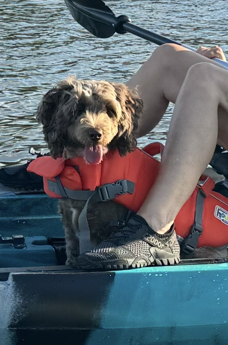 Photo Review Submission from Barb Rogers