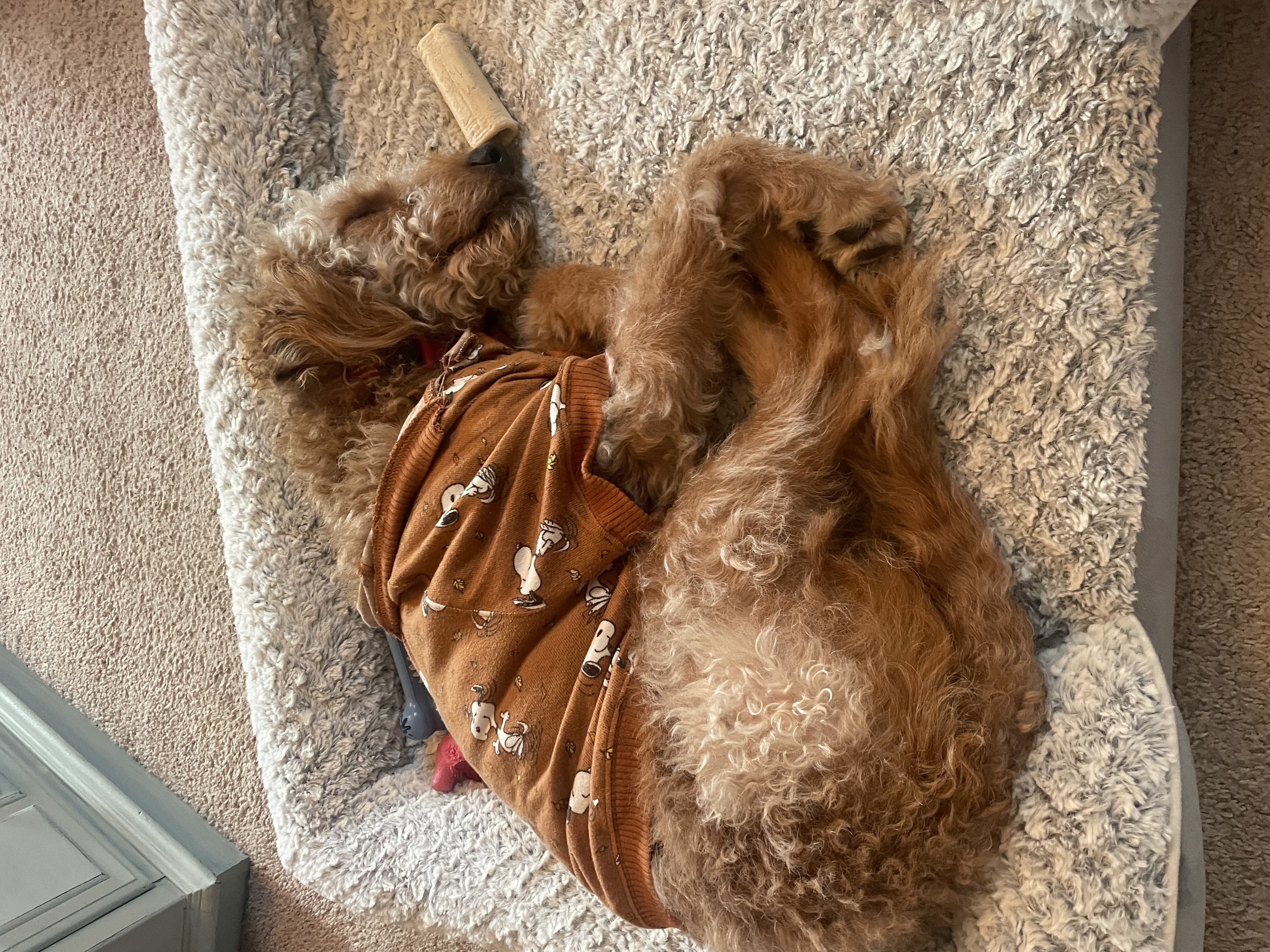 Photo Review Submission from Jessica Rowe