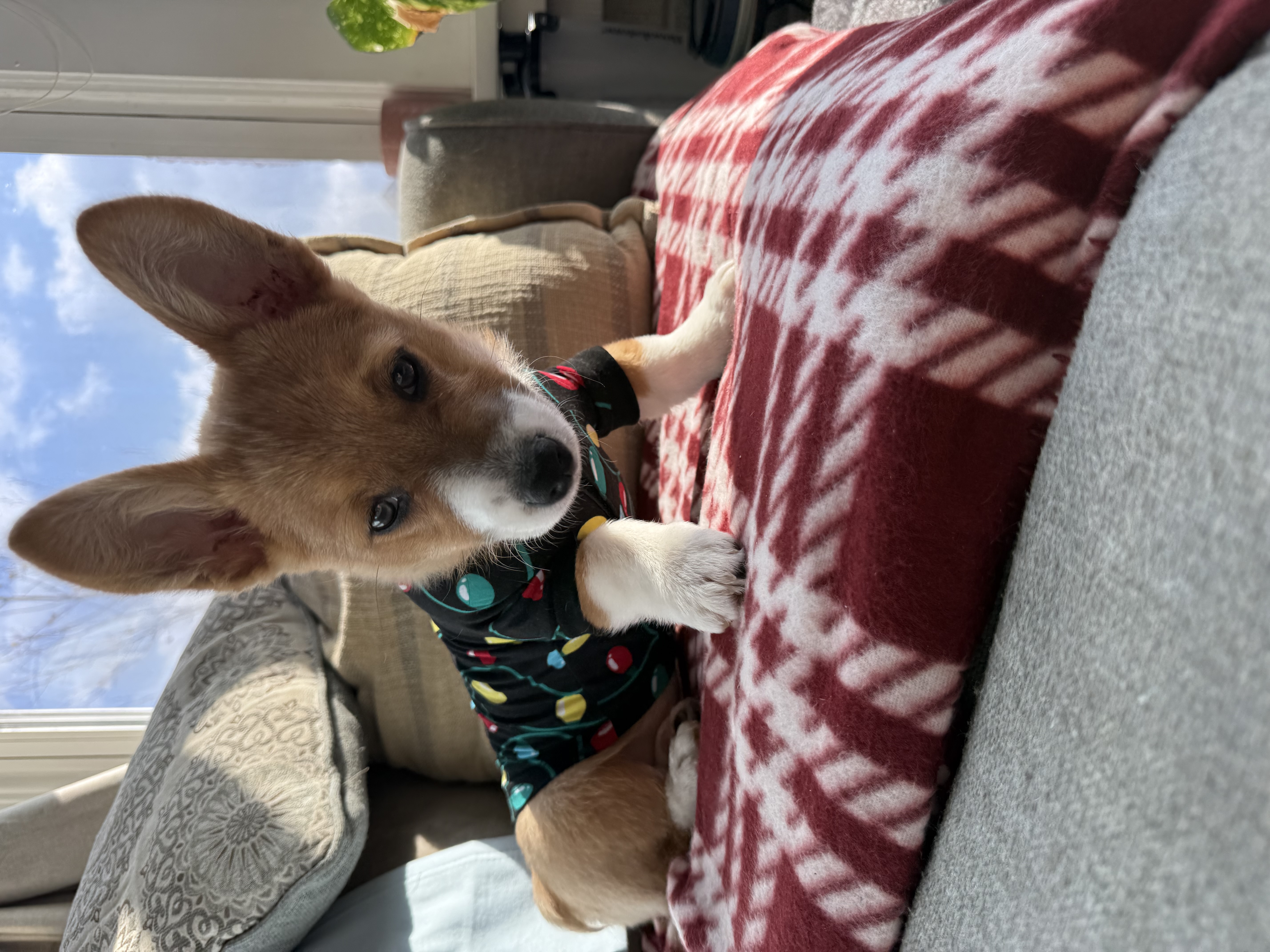 Photo Review Submission from Jake Kleckner