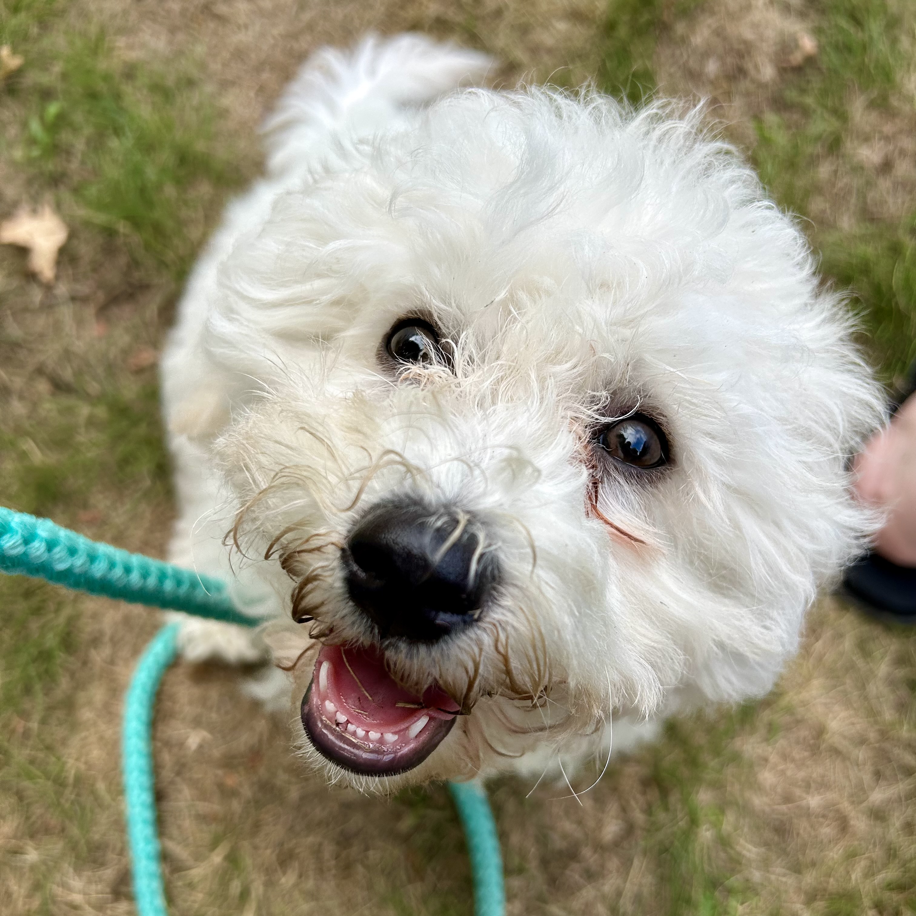 Photo Review Submission from Nichole Tinglof