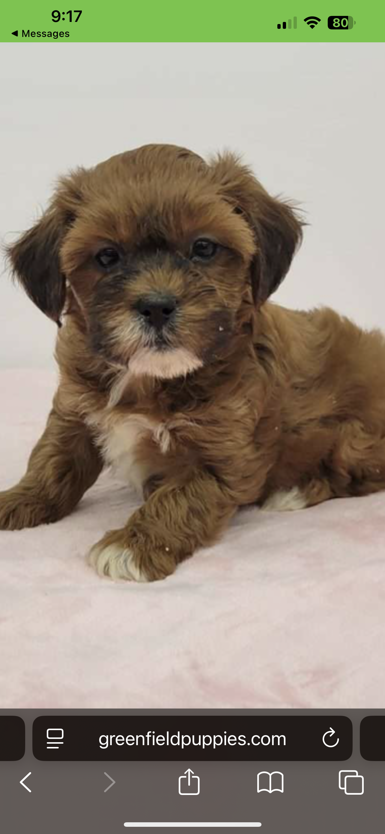 Photo Review Submission from Mellessa Thorne