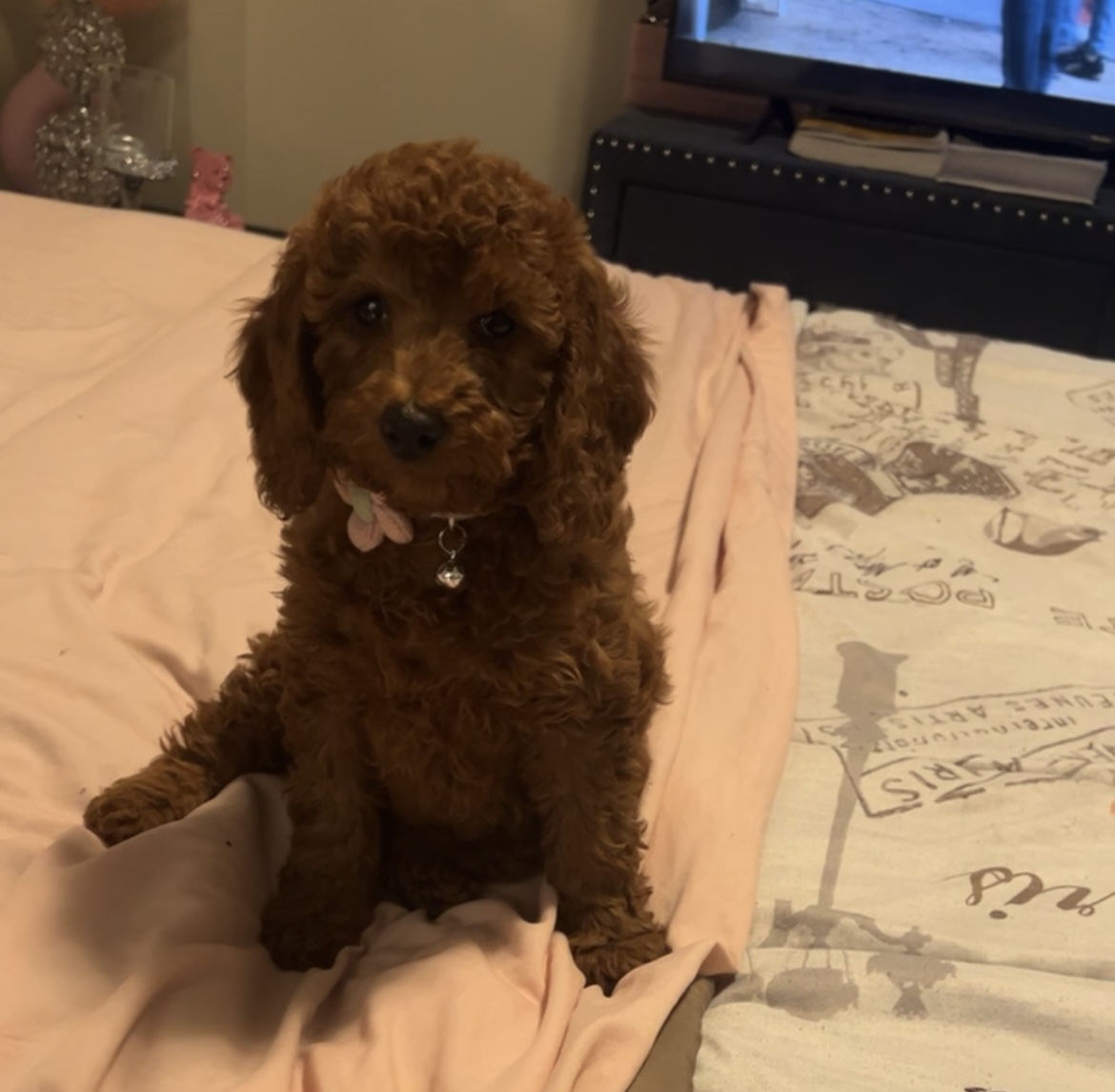 Photo Review Submission from Shannette Riley