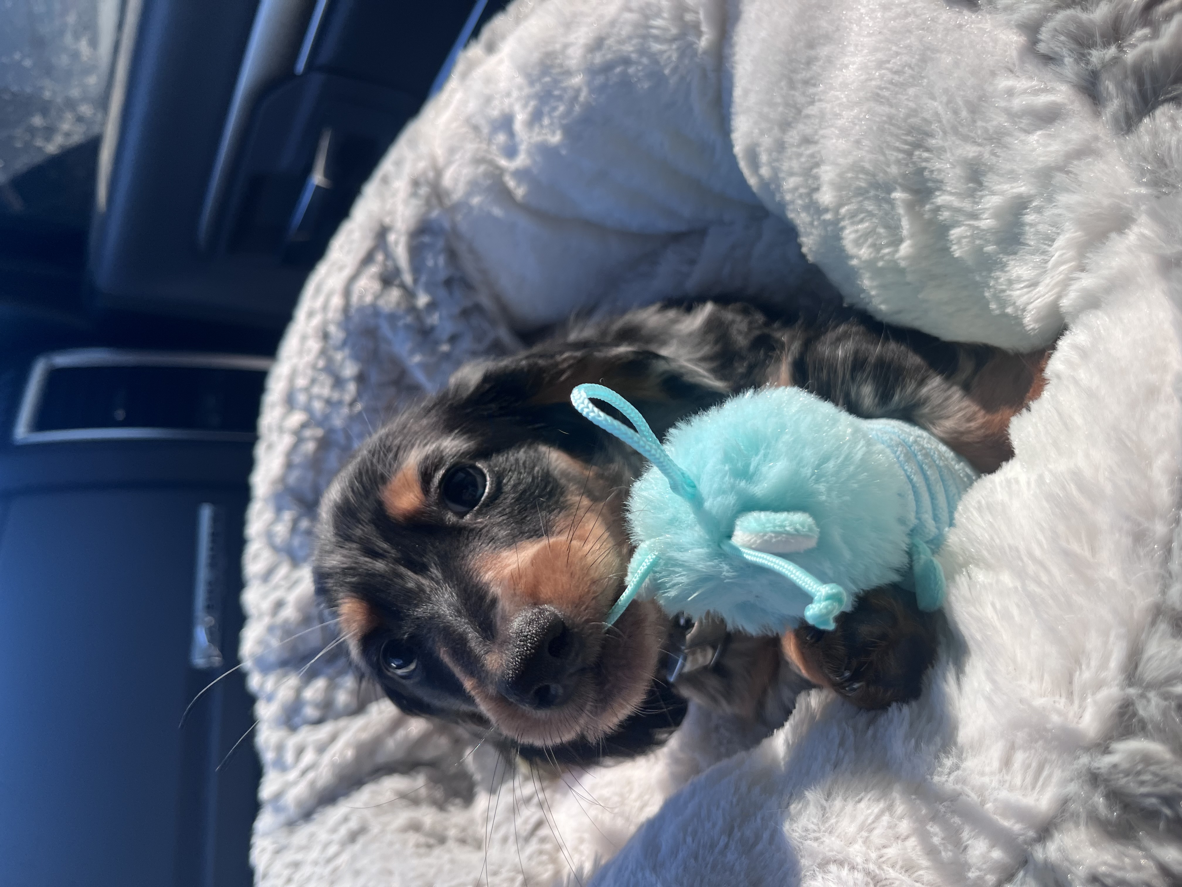 Photo Review Submission from Joshua White