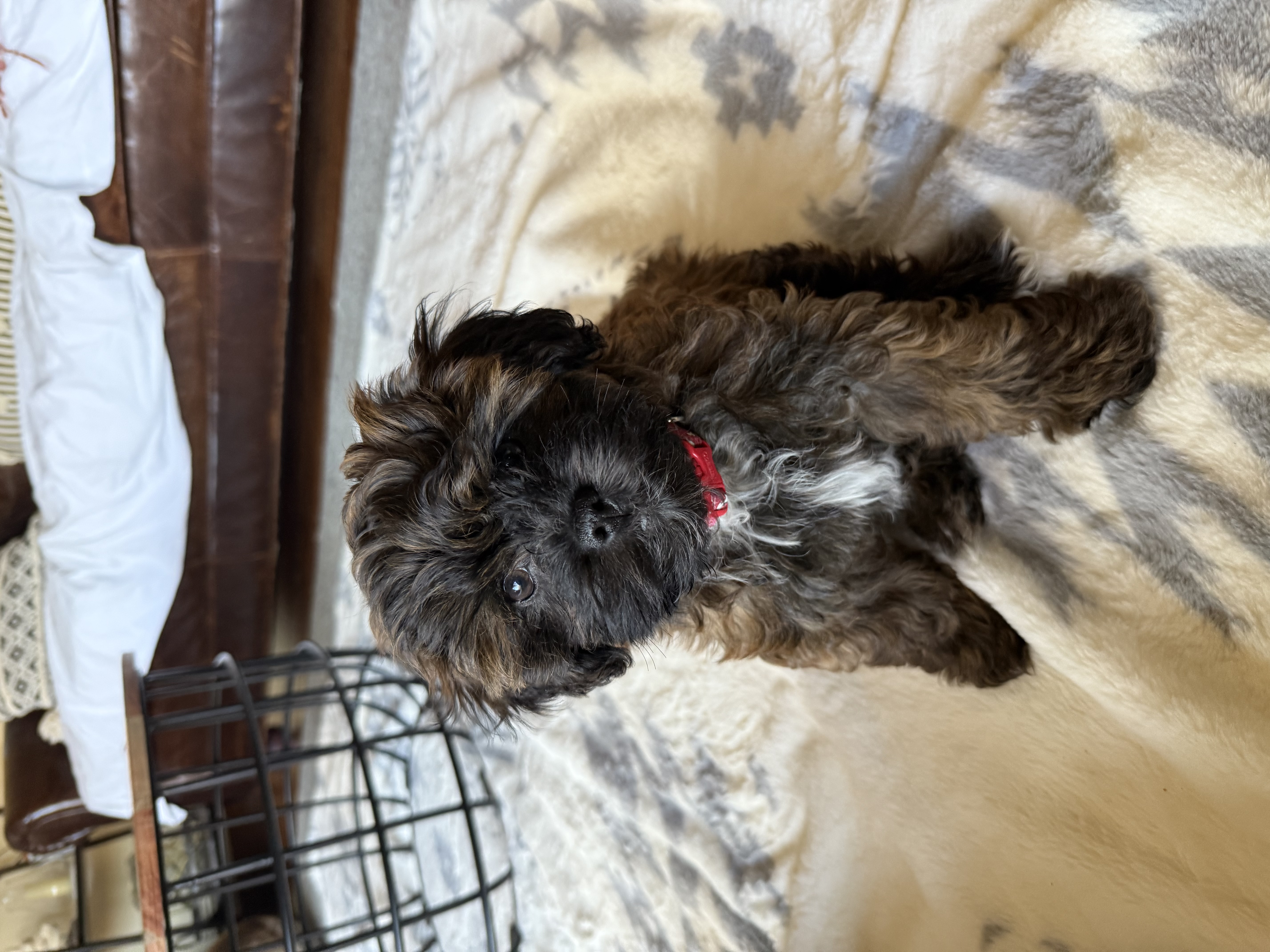 Photo Review Submission from Michelle Collins