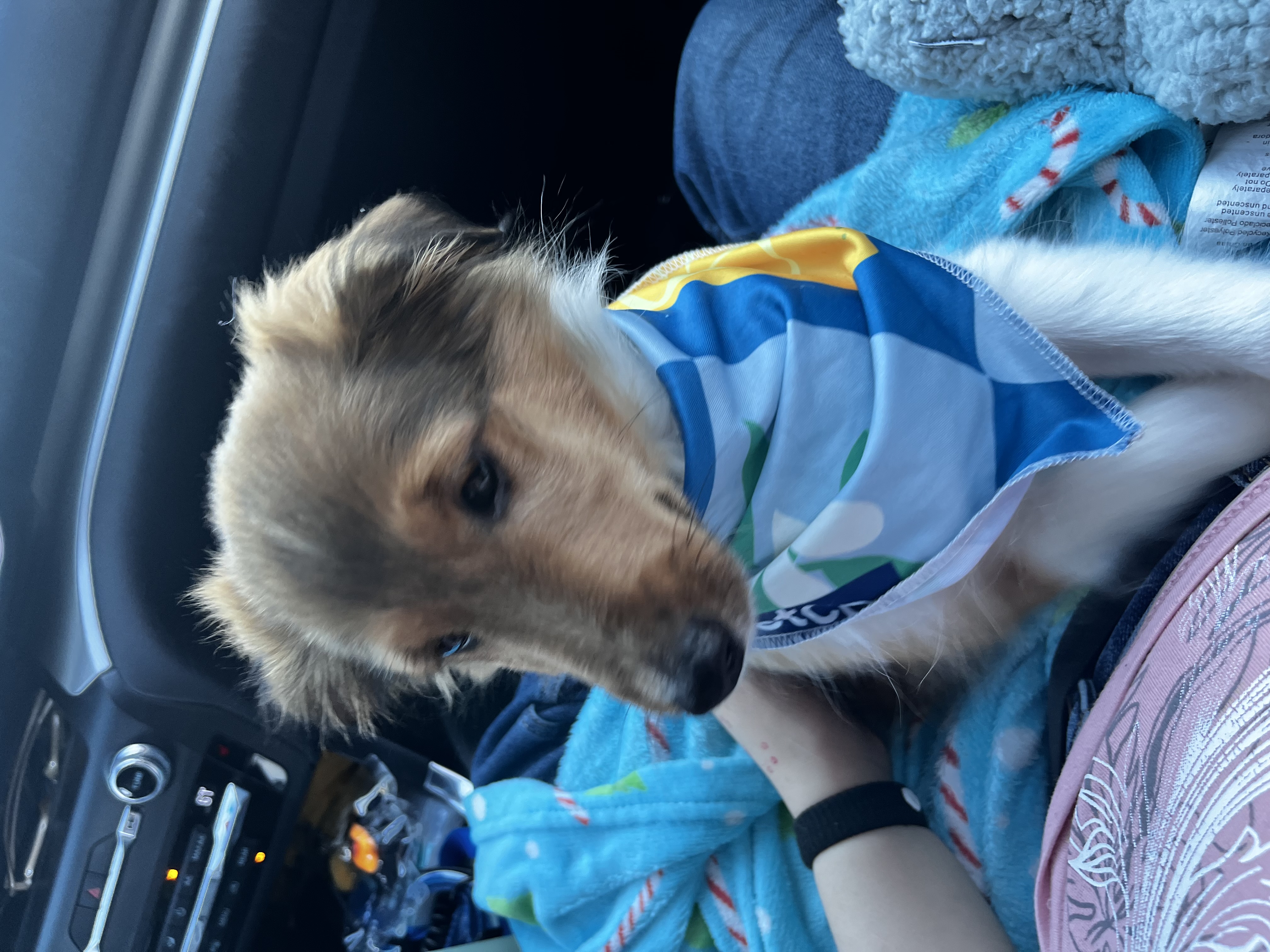 Photo Review Submission from Arianna Vee