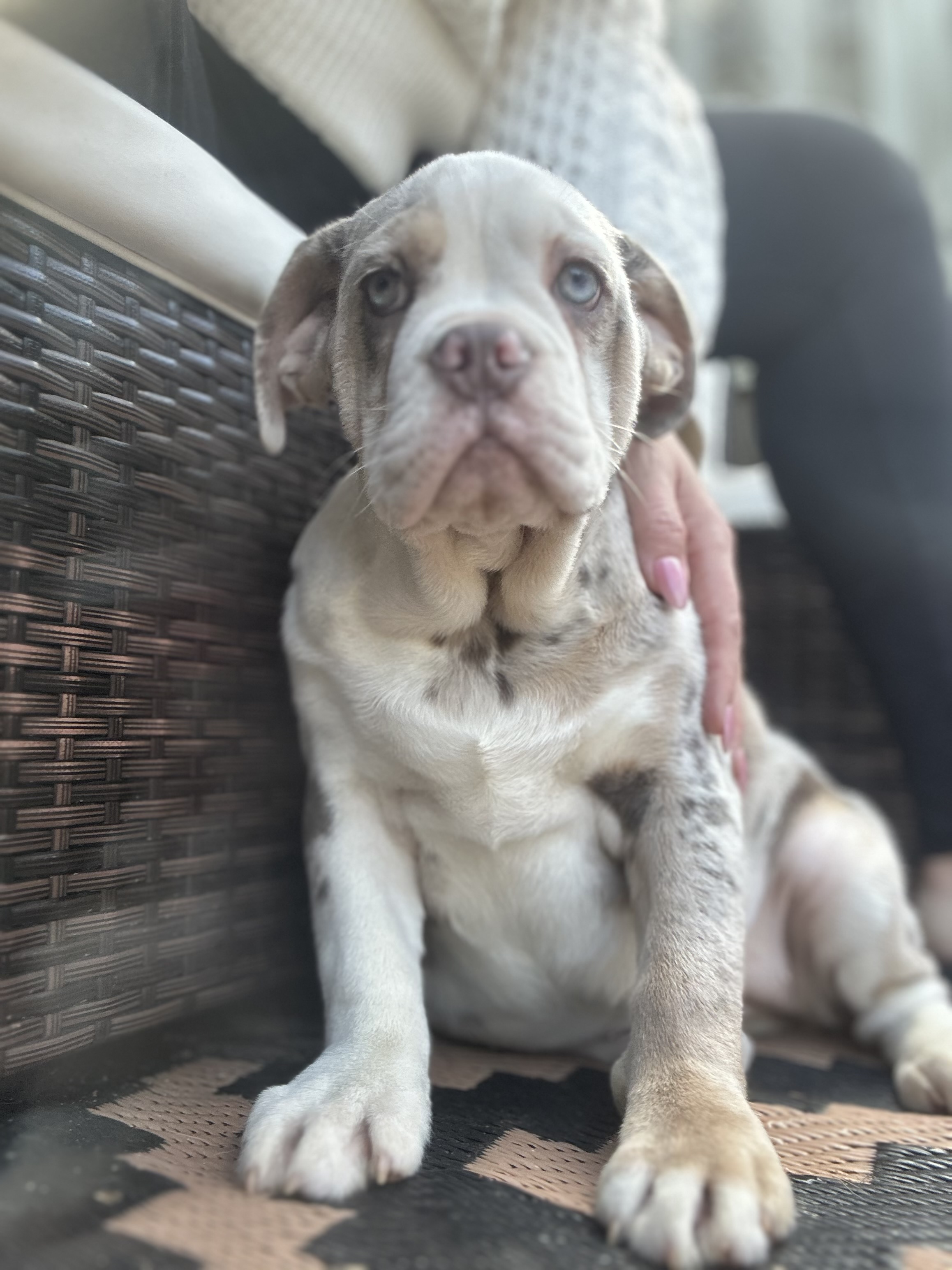 Photo Review Submission from Andrea Christopherson