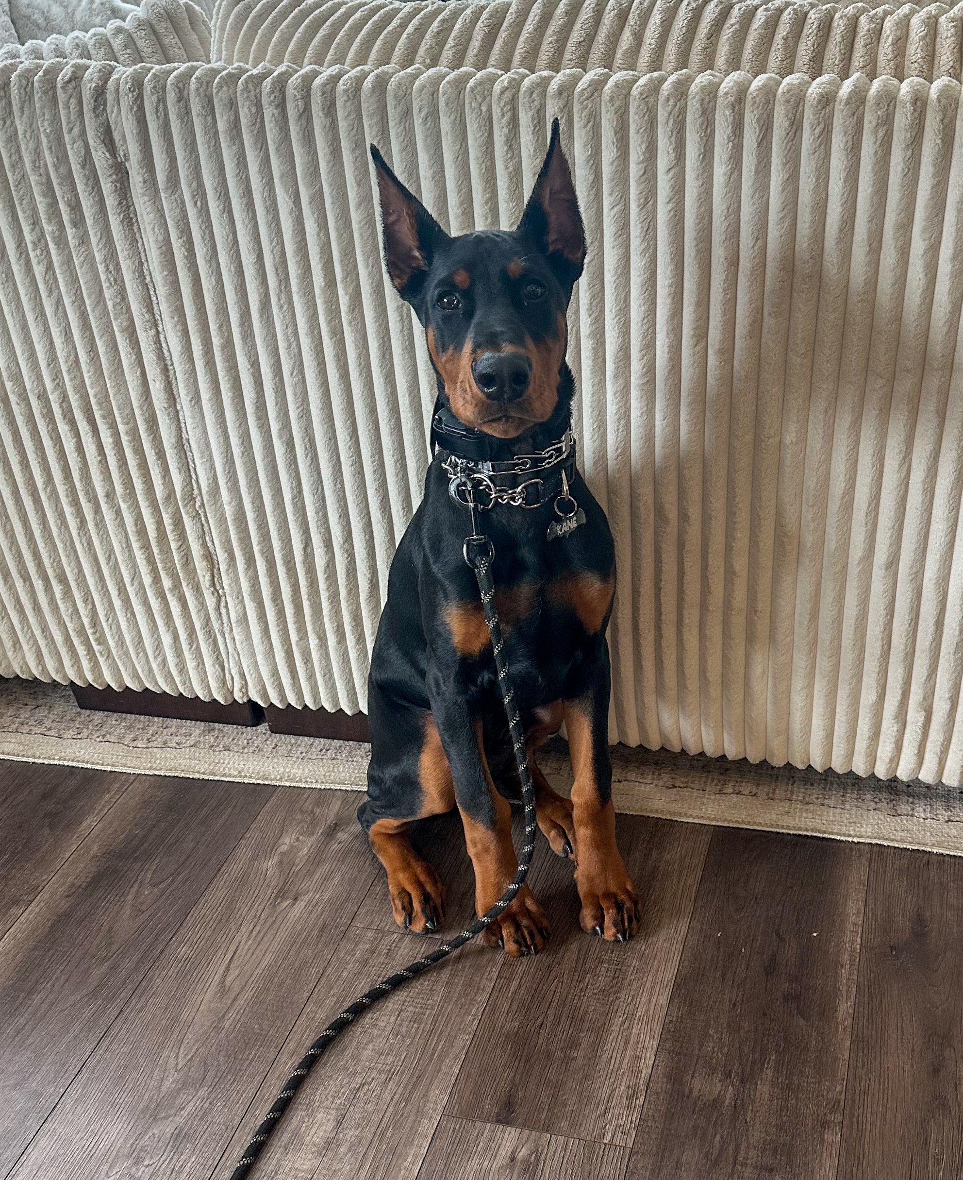 Photo Review Submission from Nicole Ford