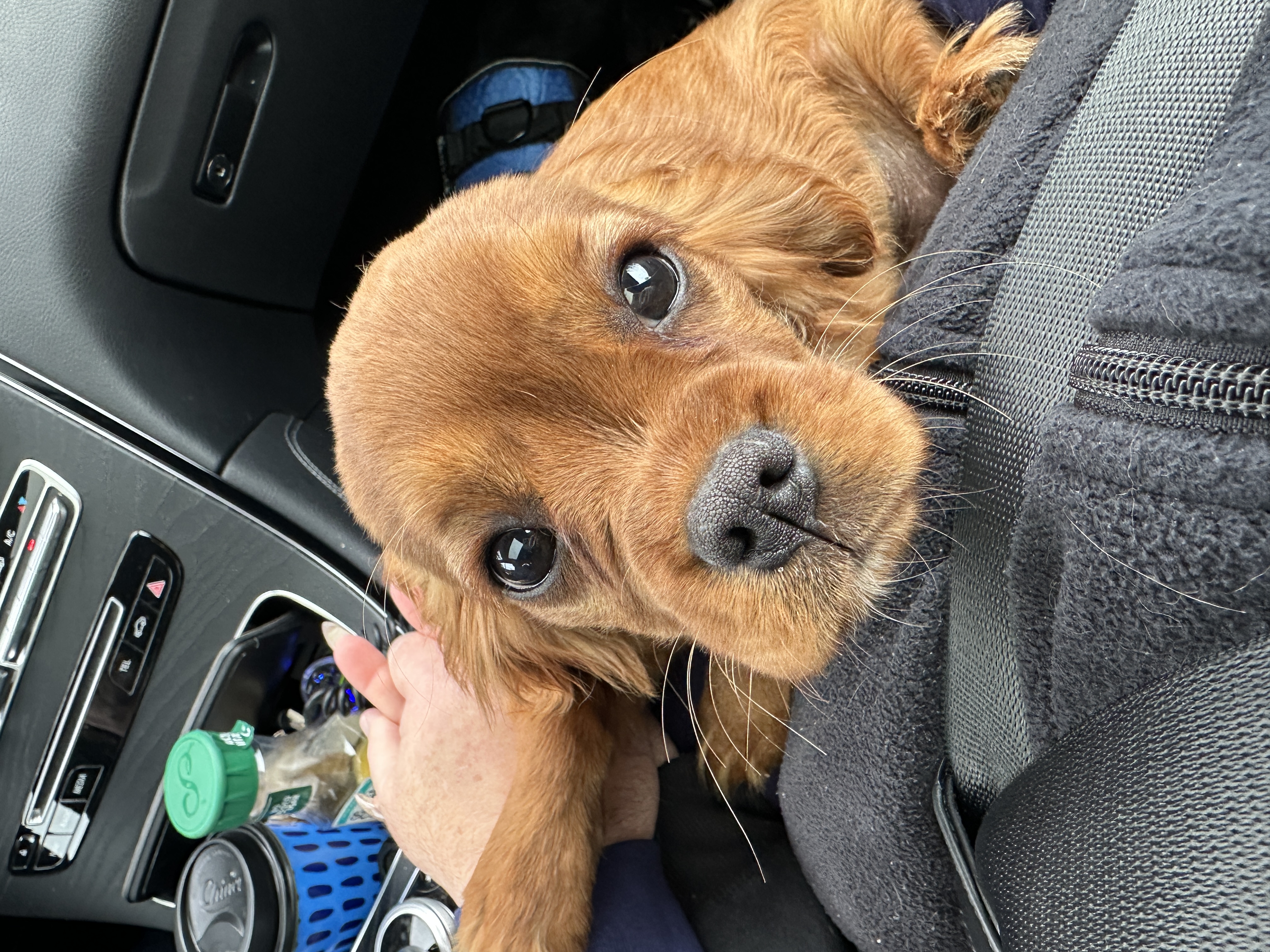 Photo Review Submission from Karen Egiziaco