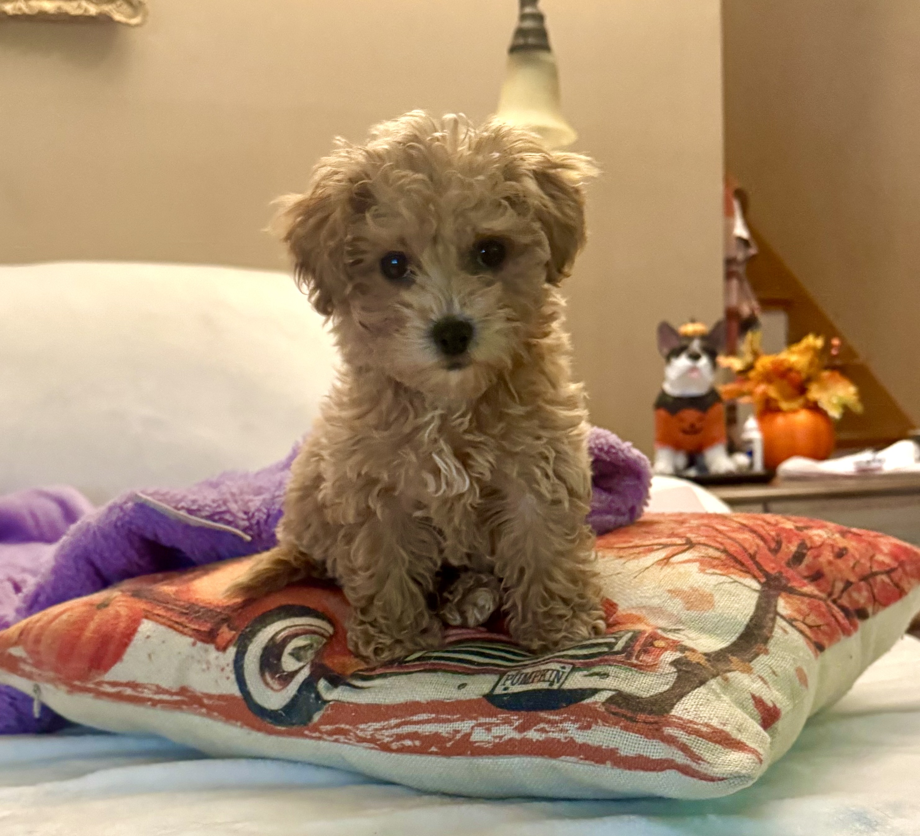 Photo Review Submission from Lucy Halle