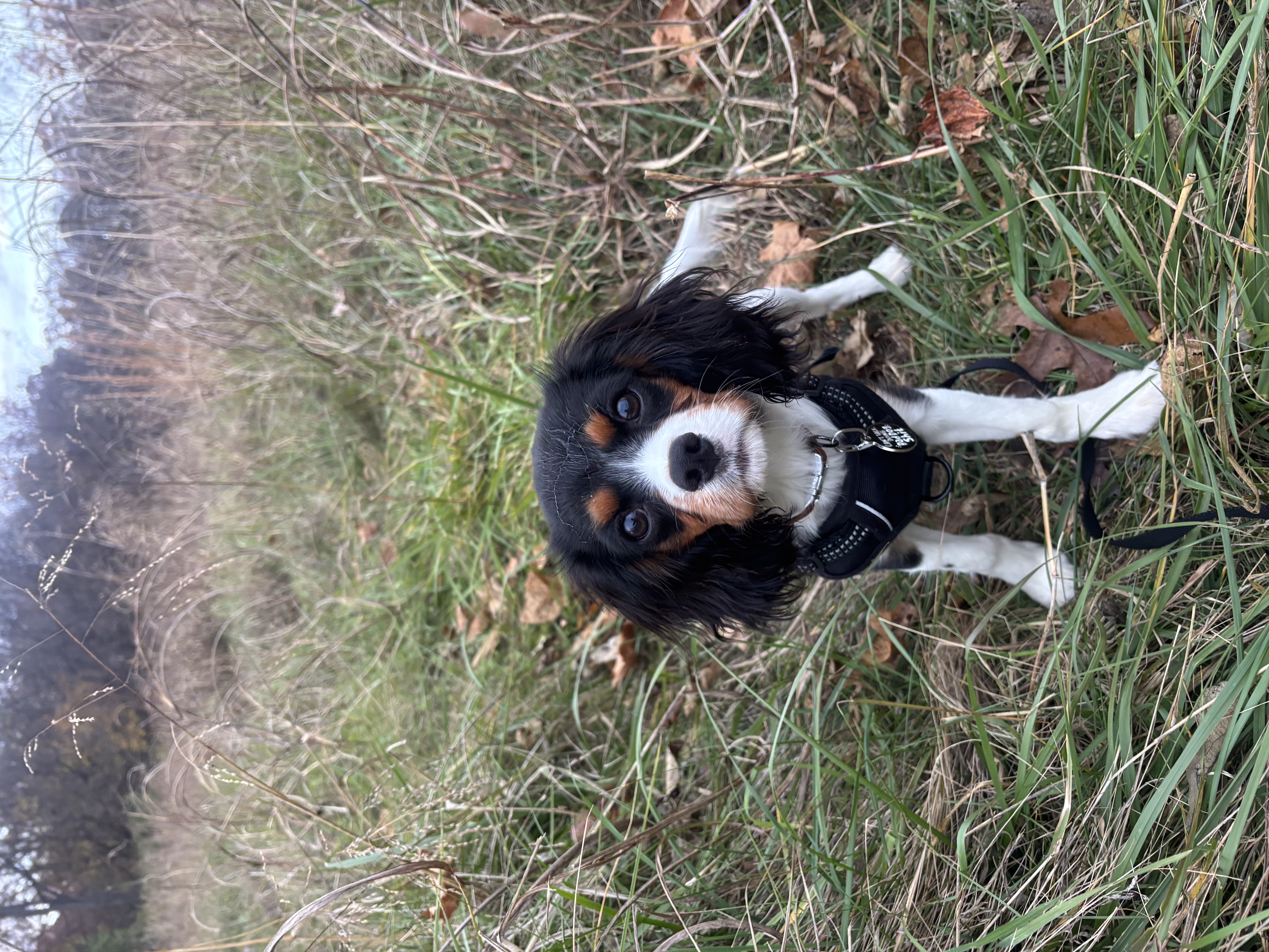 Photo Review Submission from Amy Scott