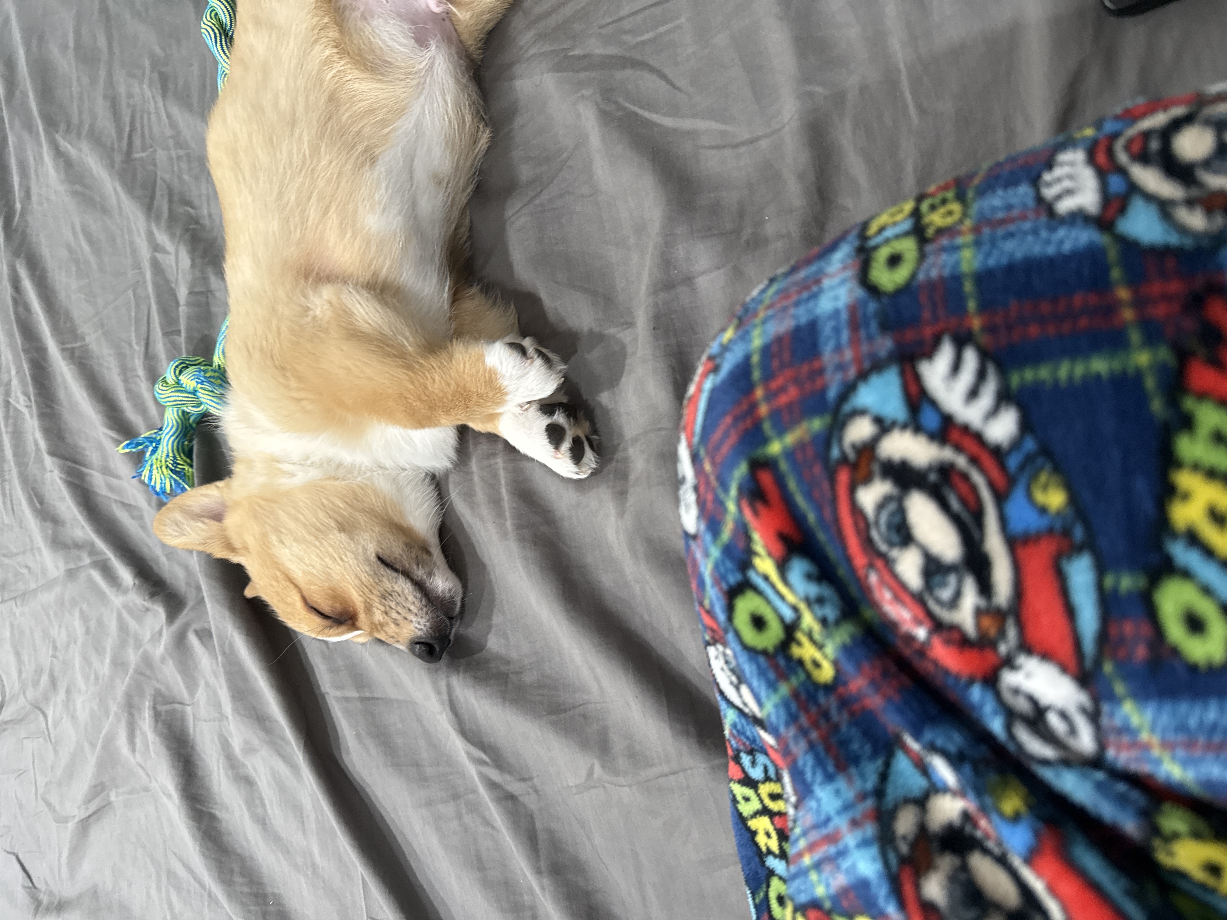 Photo Review Submission from Michael Peralta