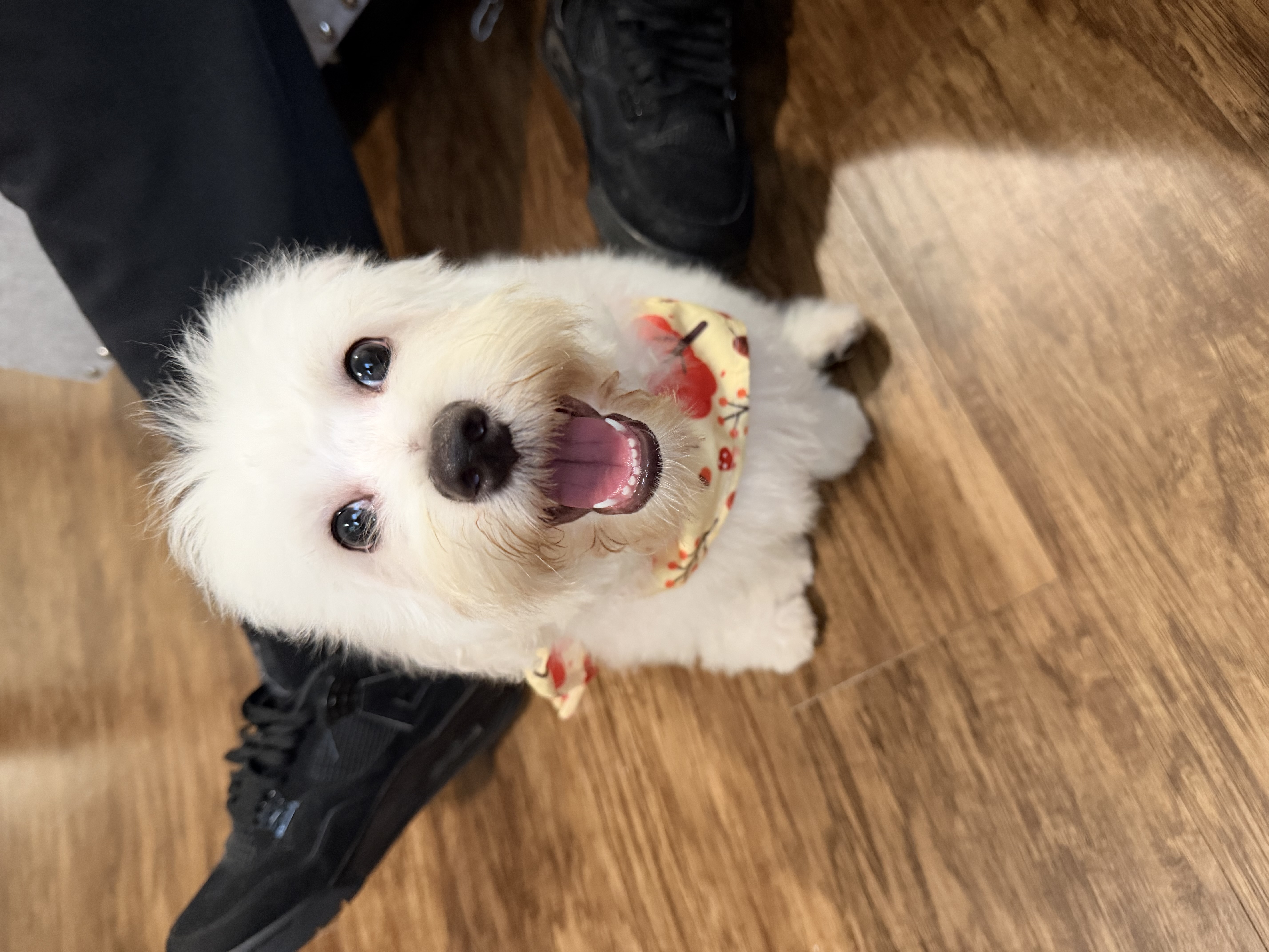 Photo Review Submission from Jaeanna Hughes