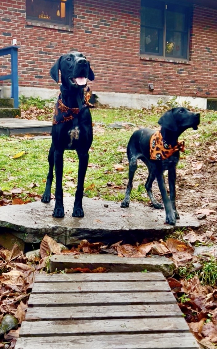 Photo Review Submission from Samantha Bilardi