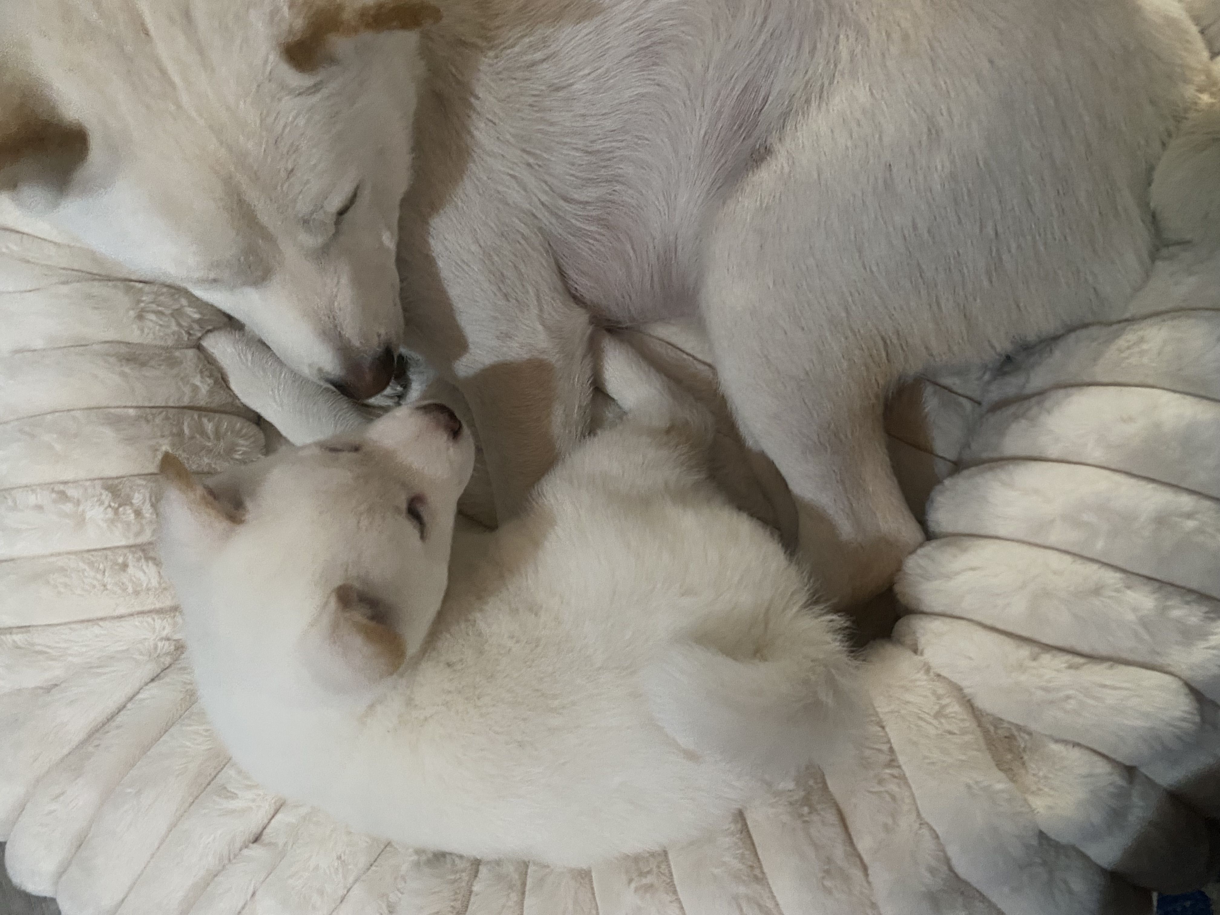 Photo Review Submission from T W