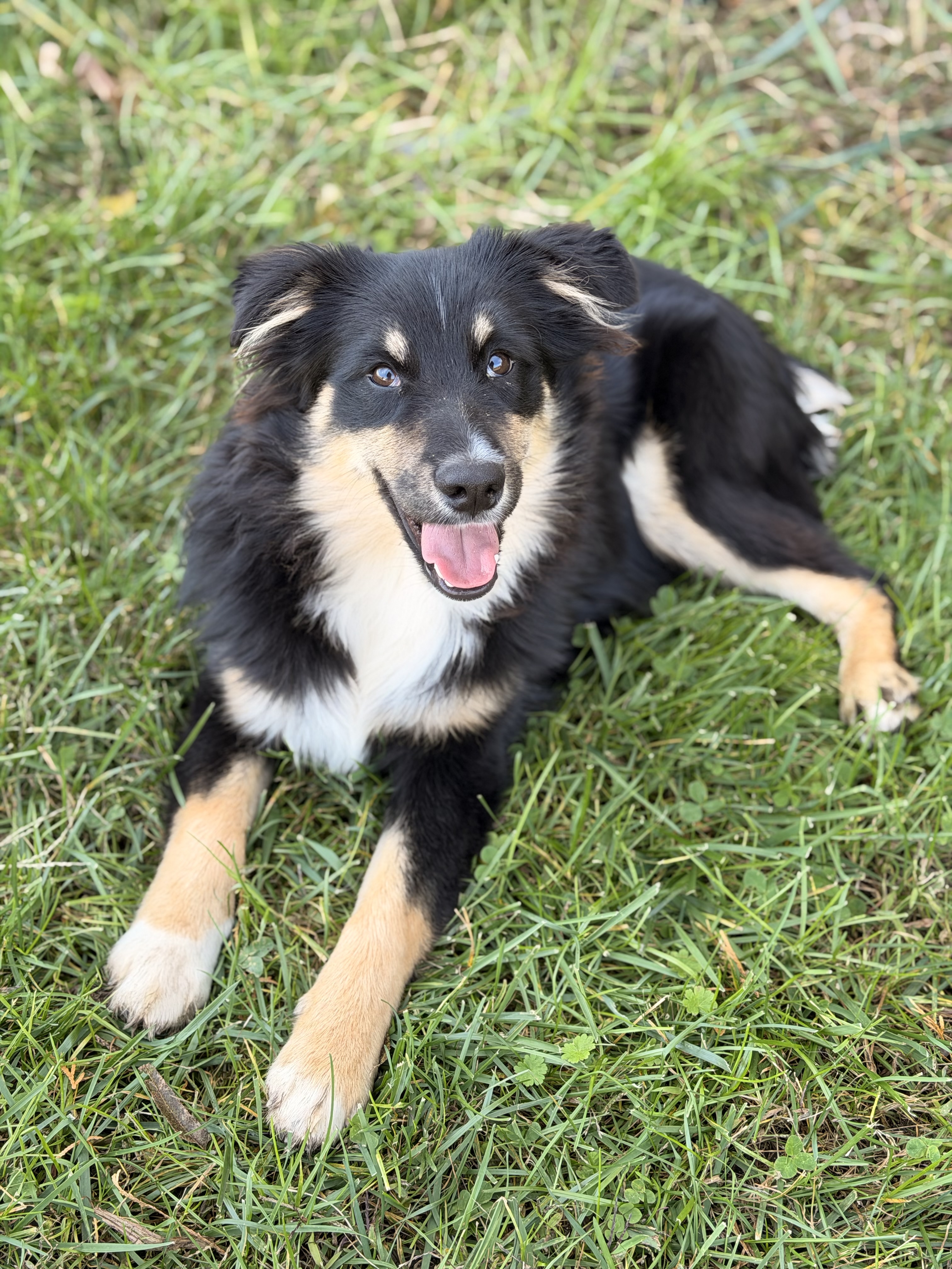 Photo Review Submission from Amber Burris