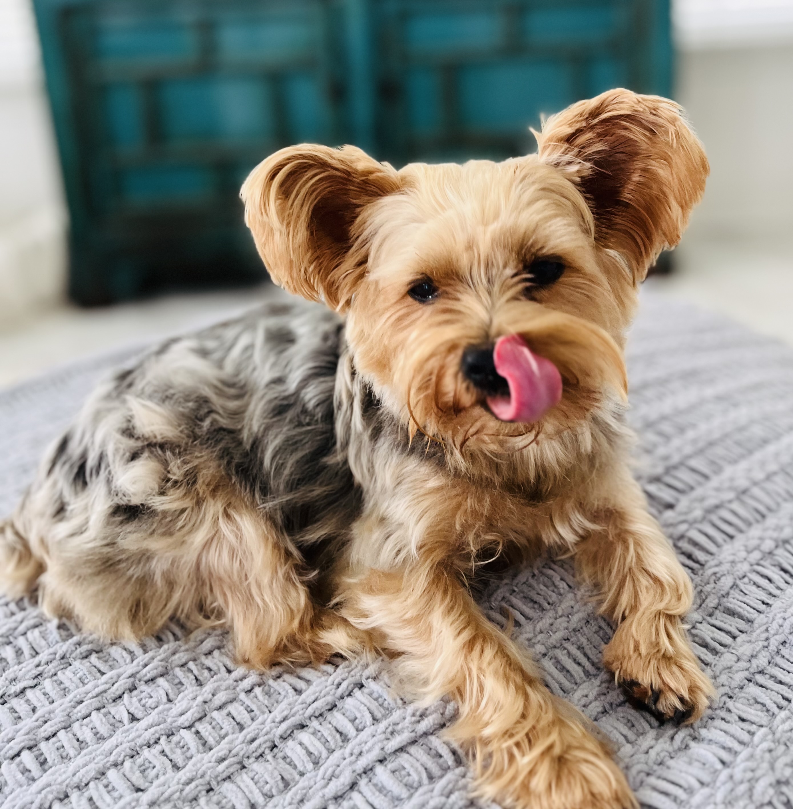 Photo Review Submission from Sandra Moser