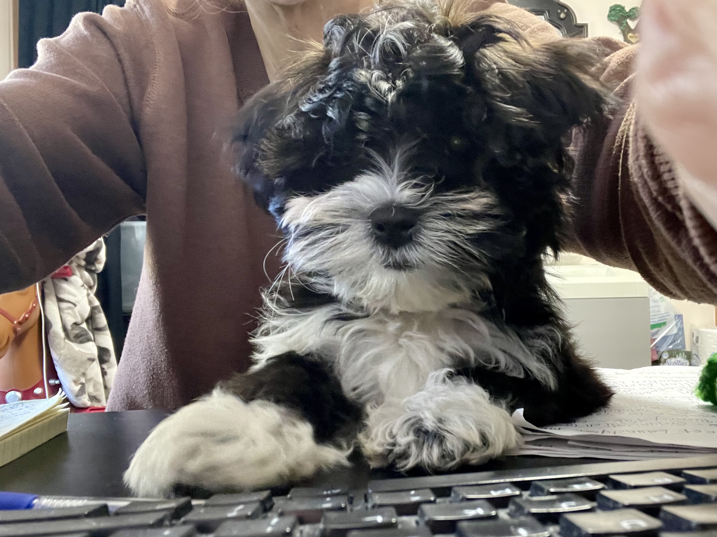 Photo Review Submission from Kimrenae Beers