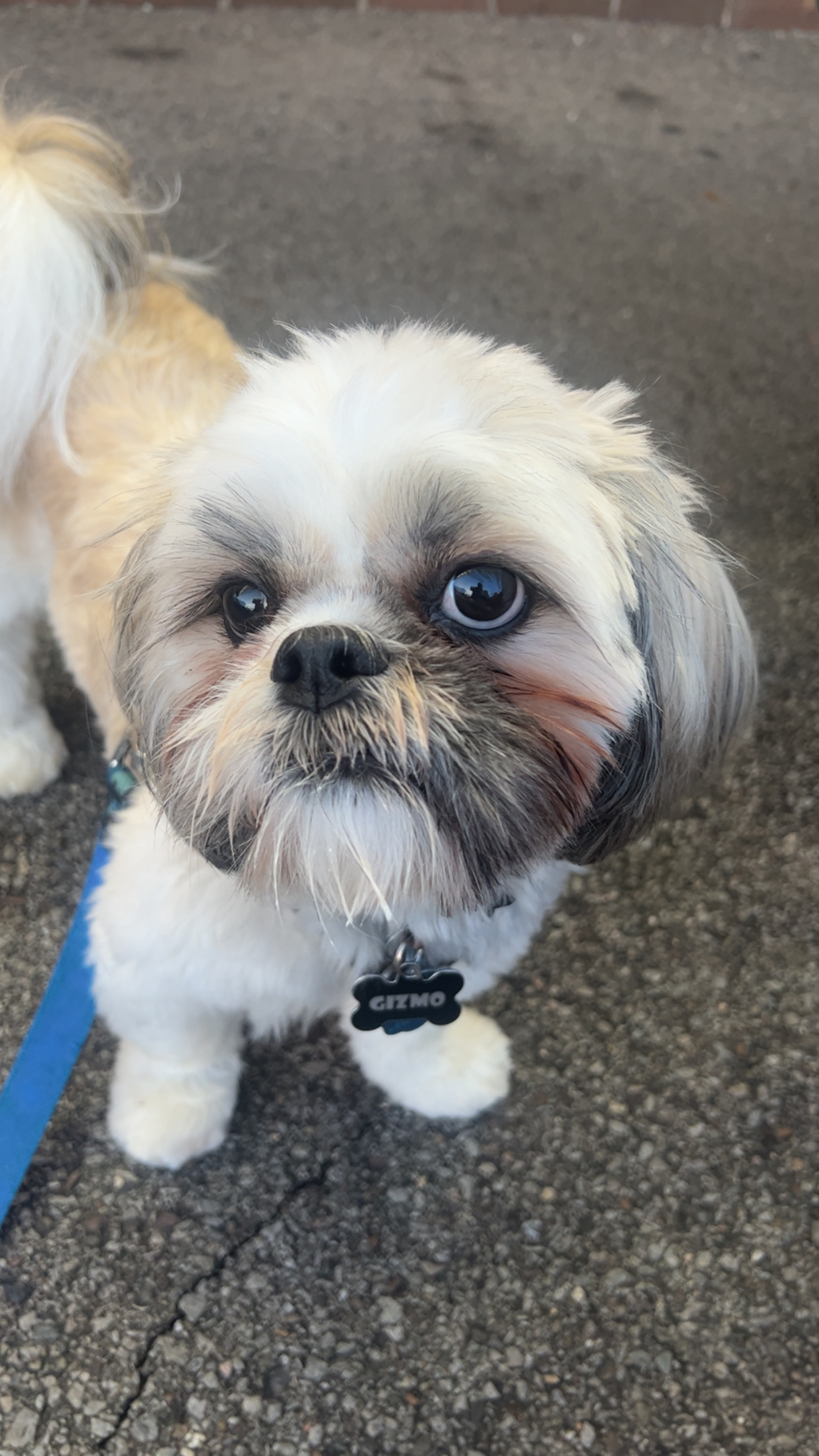 Photo Review Submission from Kara James