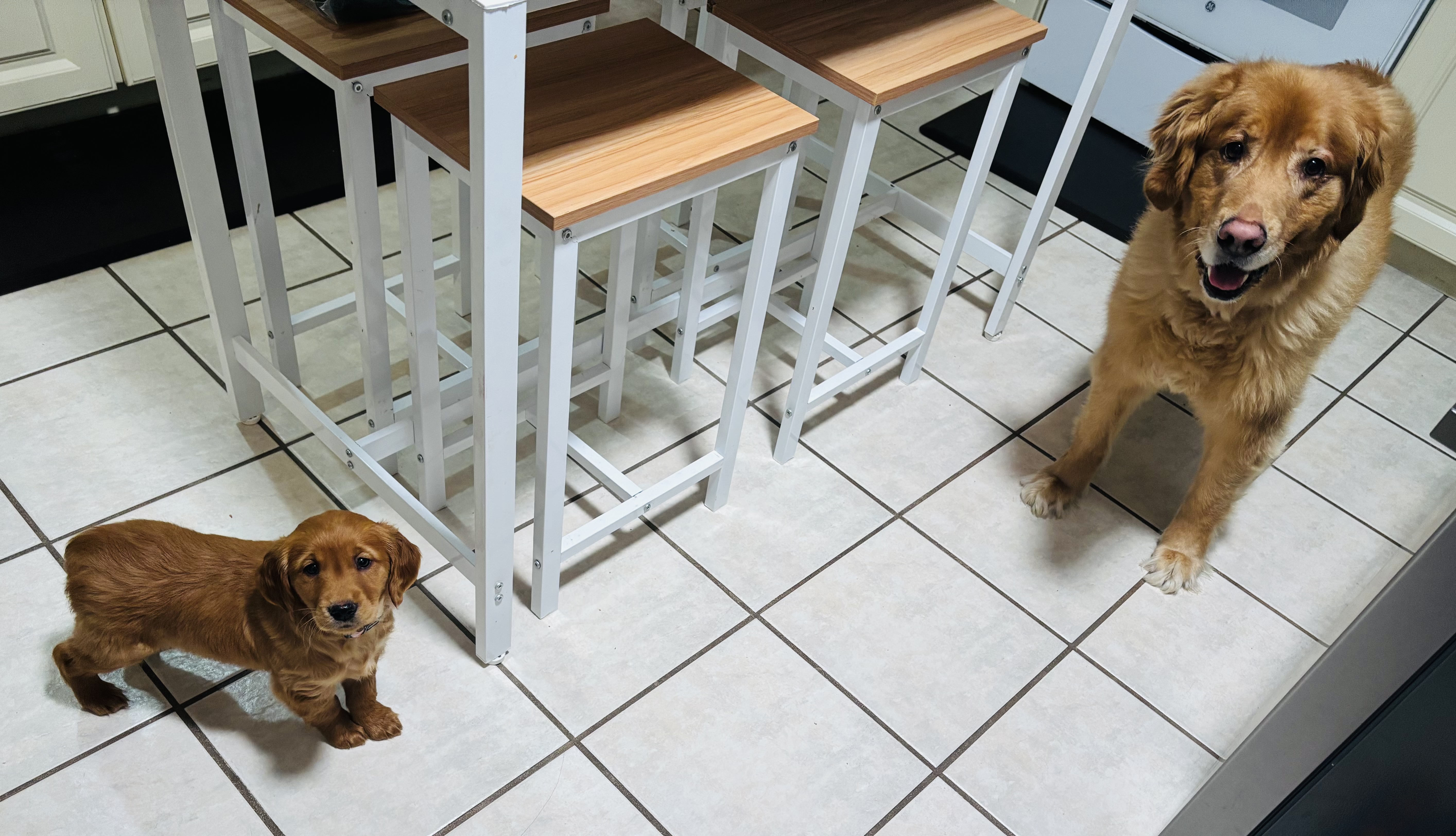 Photo Review Submission from Marissa Matlowski