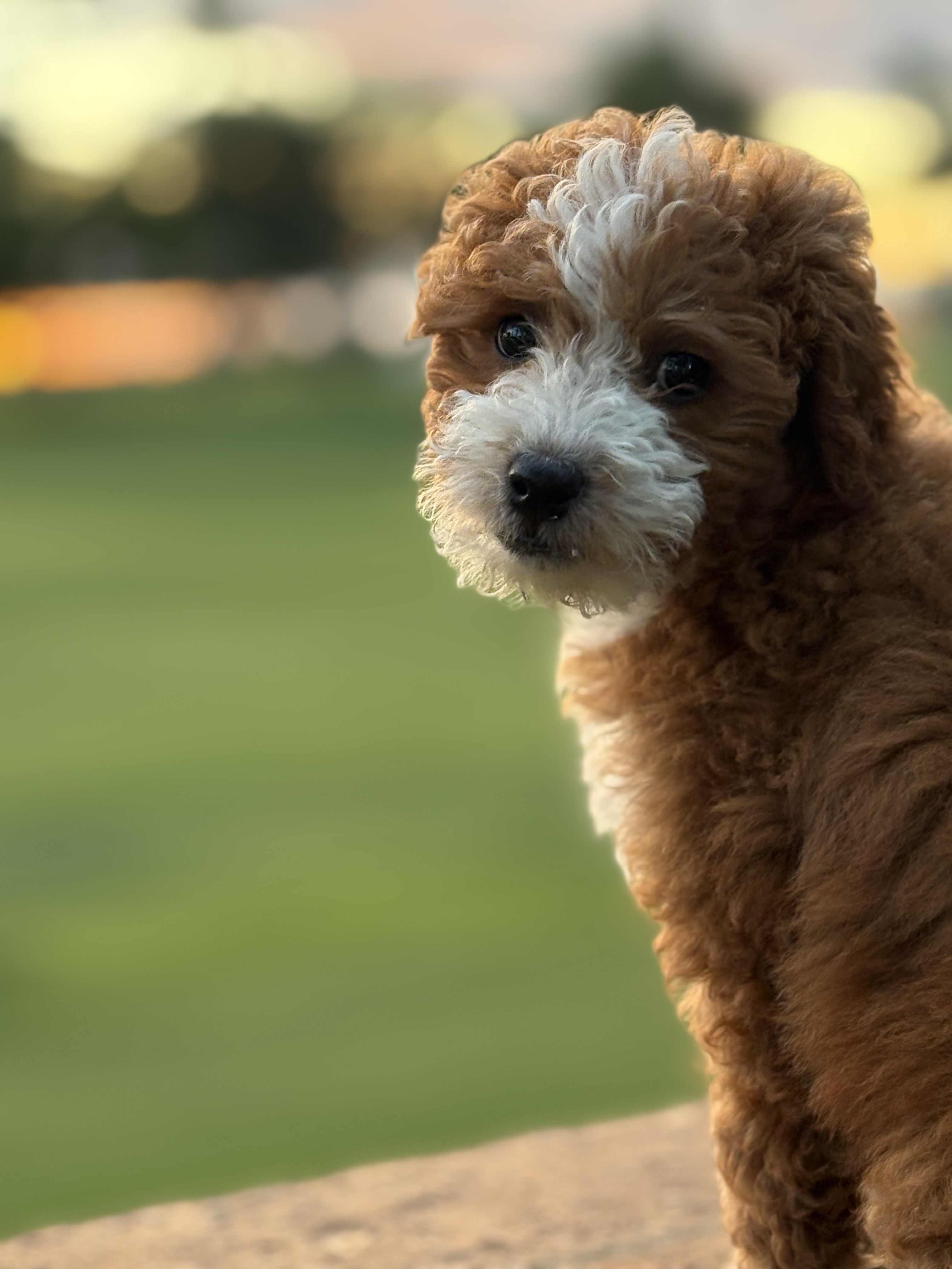 Photo Review Submission from Patrick Thayer