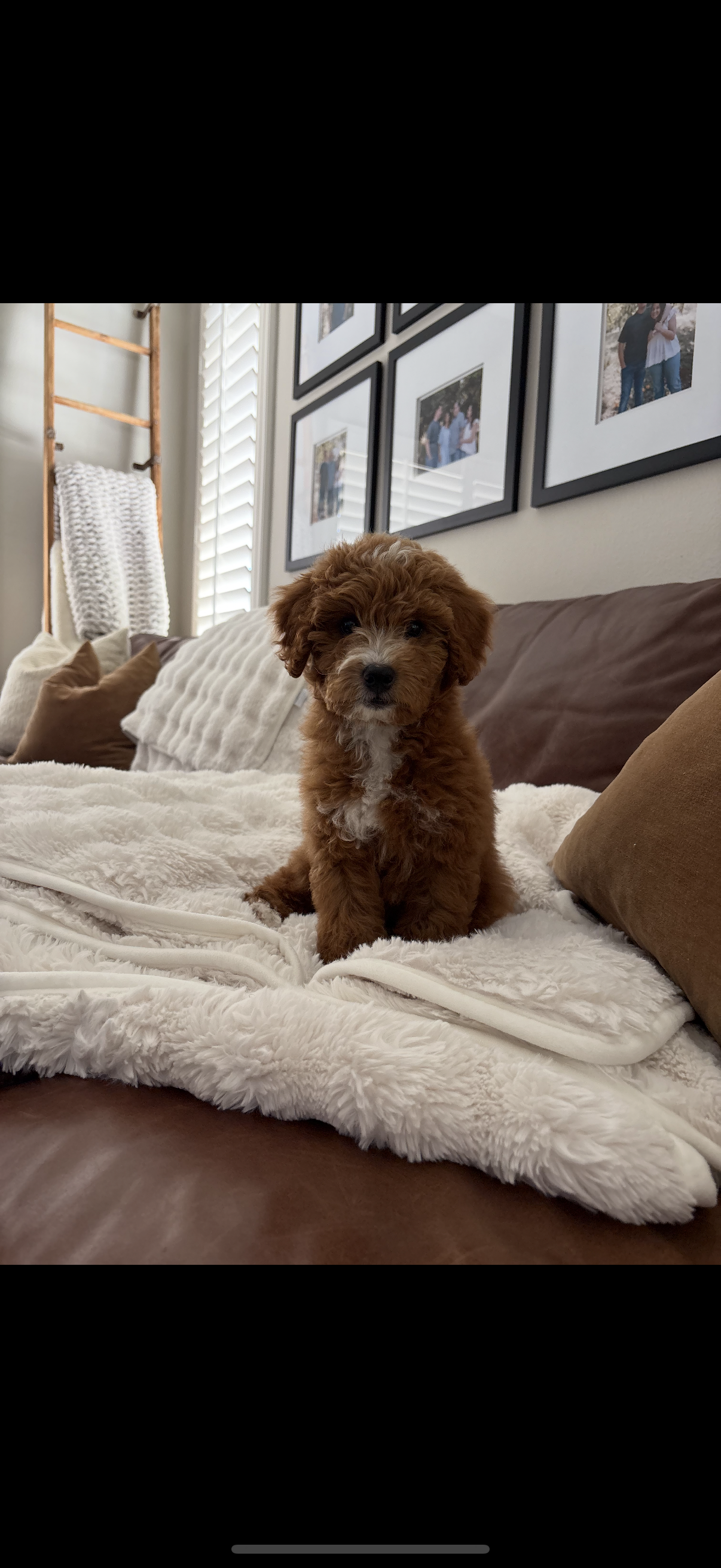 Photo Review Submission from Crisie Pitzer