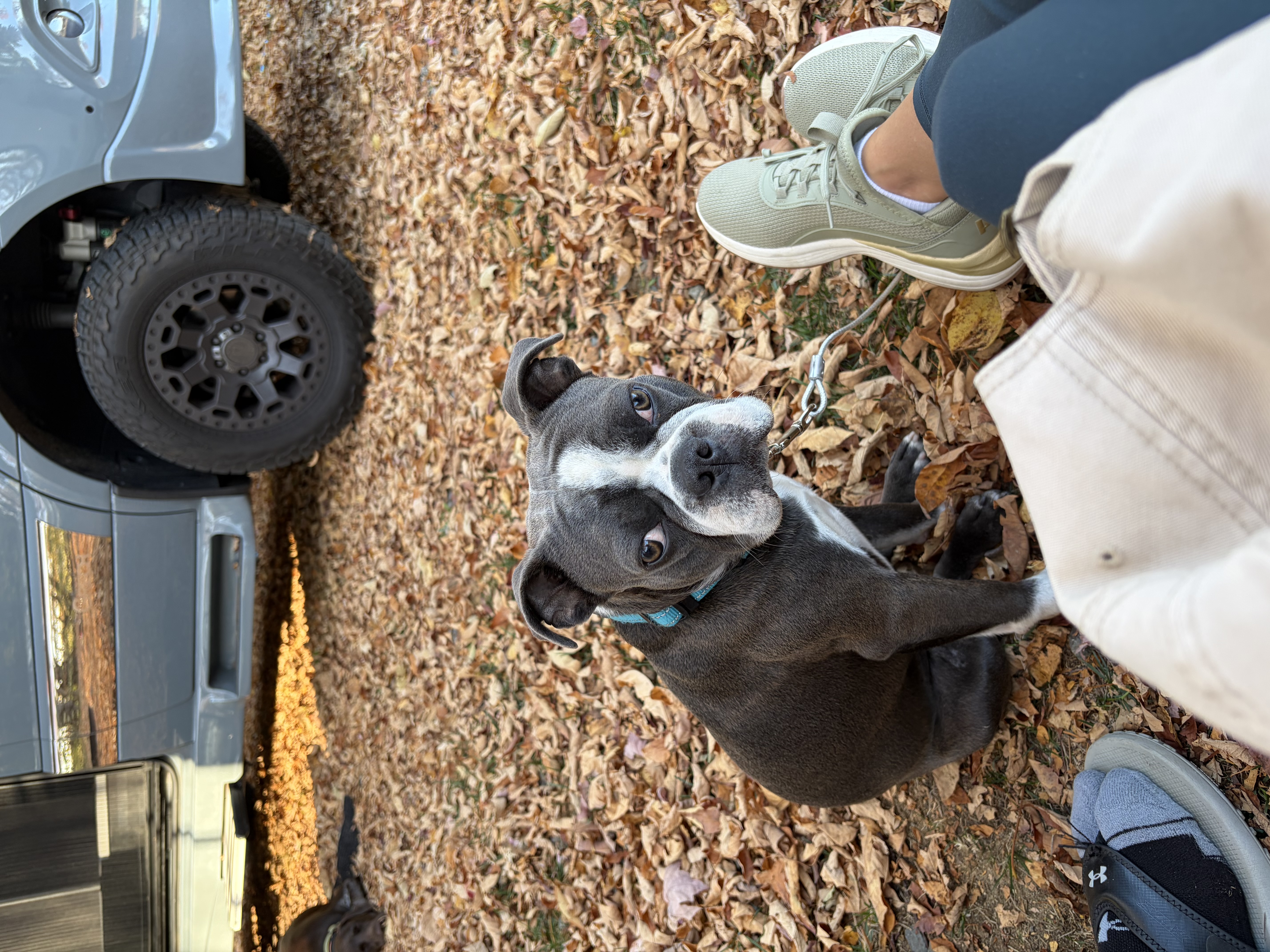 Photo Review Submission from Angelina Sutherland