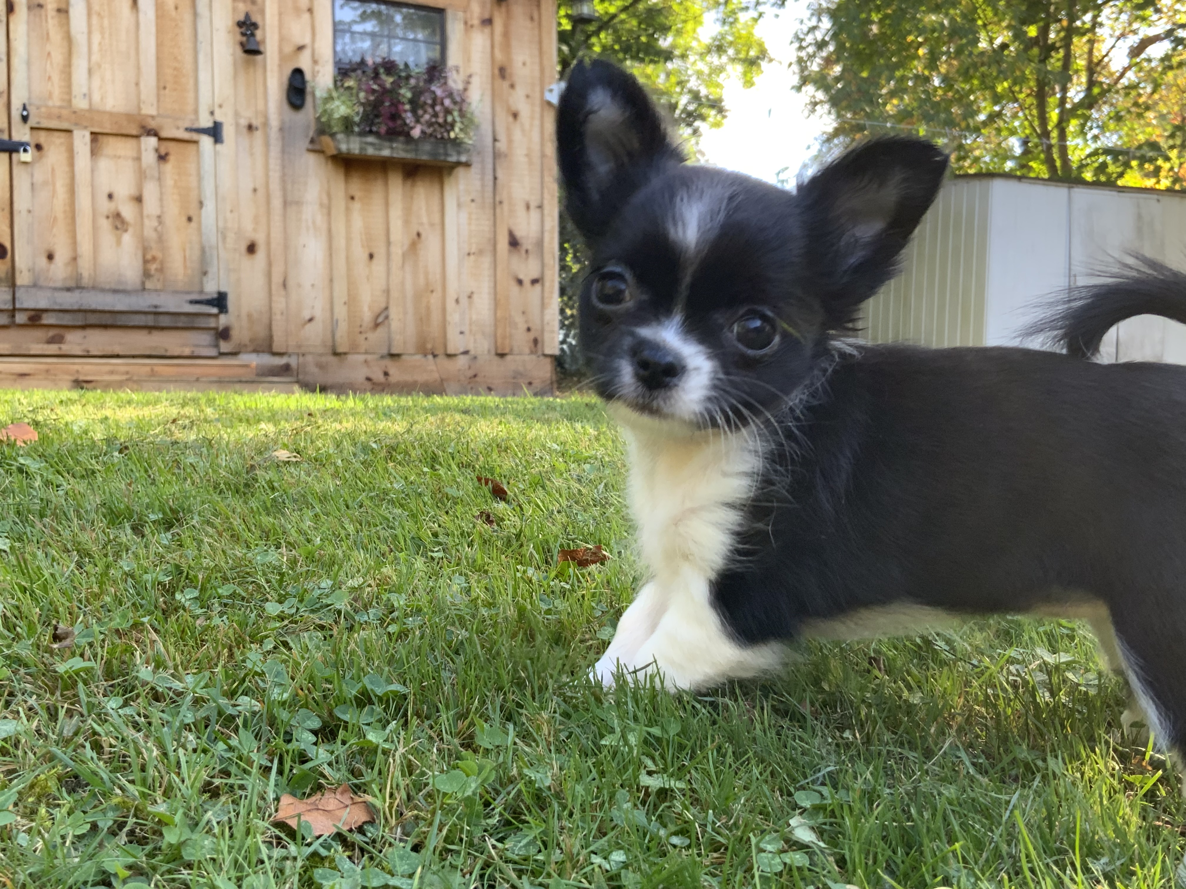 Photo Review Submission from Nadine Adams