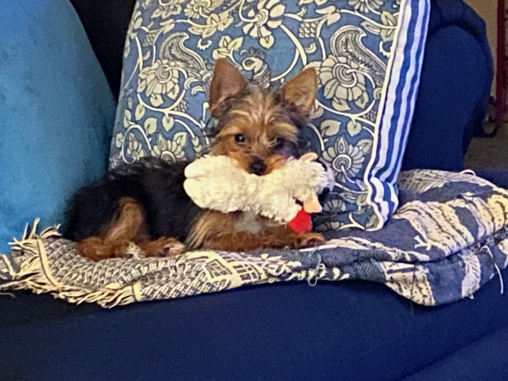 Photo Review Submission from Kim Archer