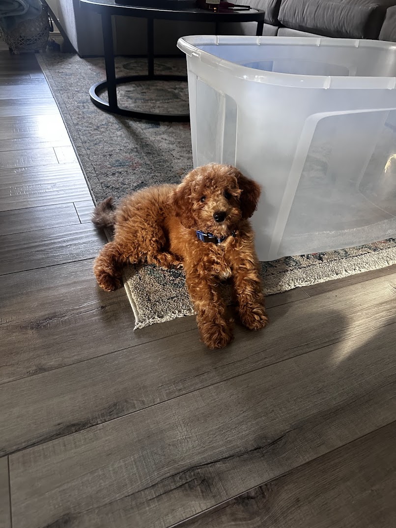 Photo Review Submission from Tia Carter