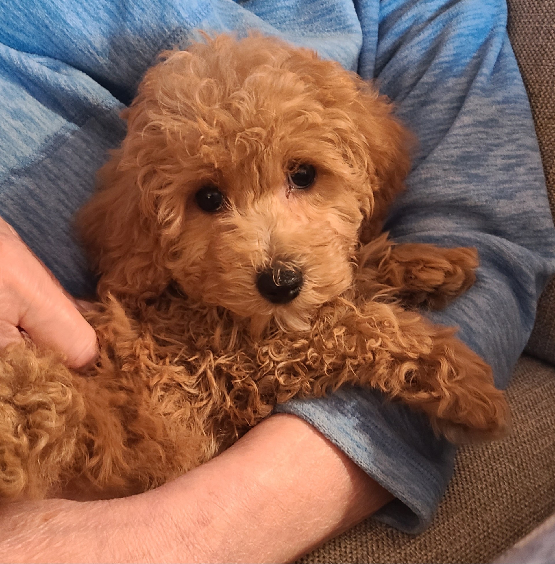 Photo Review Submission from Harold & Pam Miller