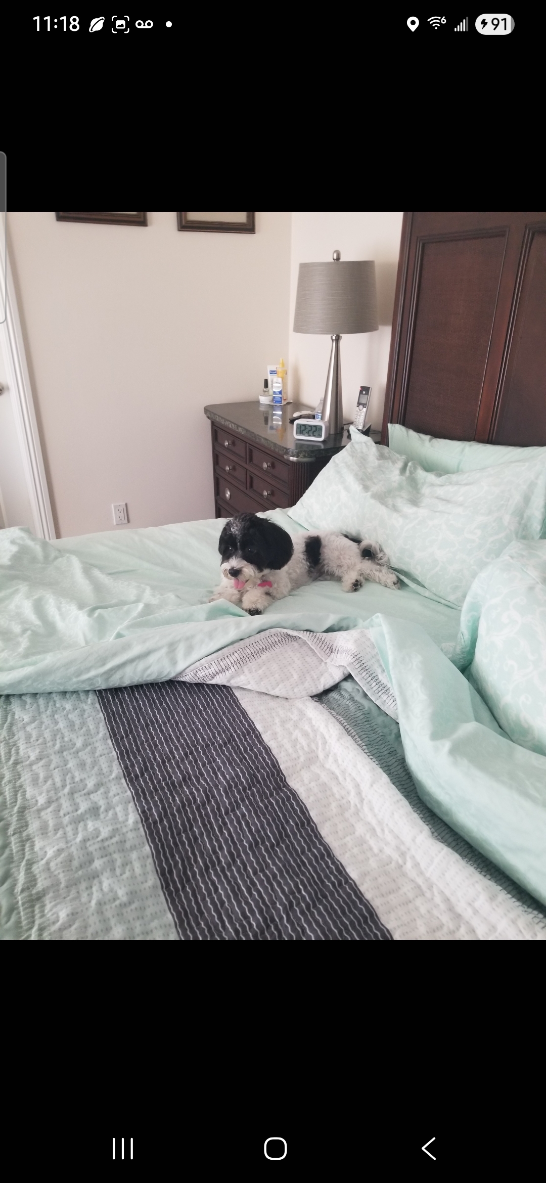 Photo Review Submission from Shirley Johnson Cole