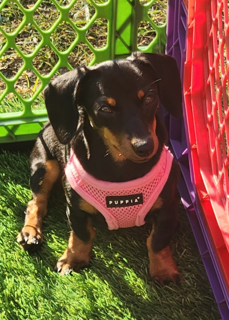 Photo Review Submission from Liz Cohen