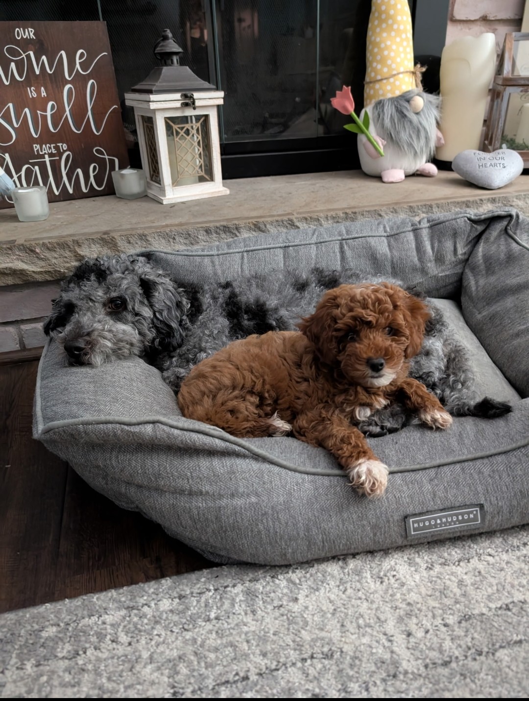 Photo Review Submission from Elizabeth Malik