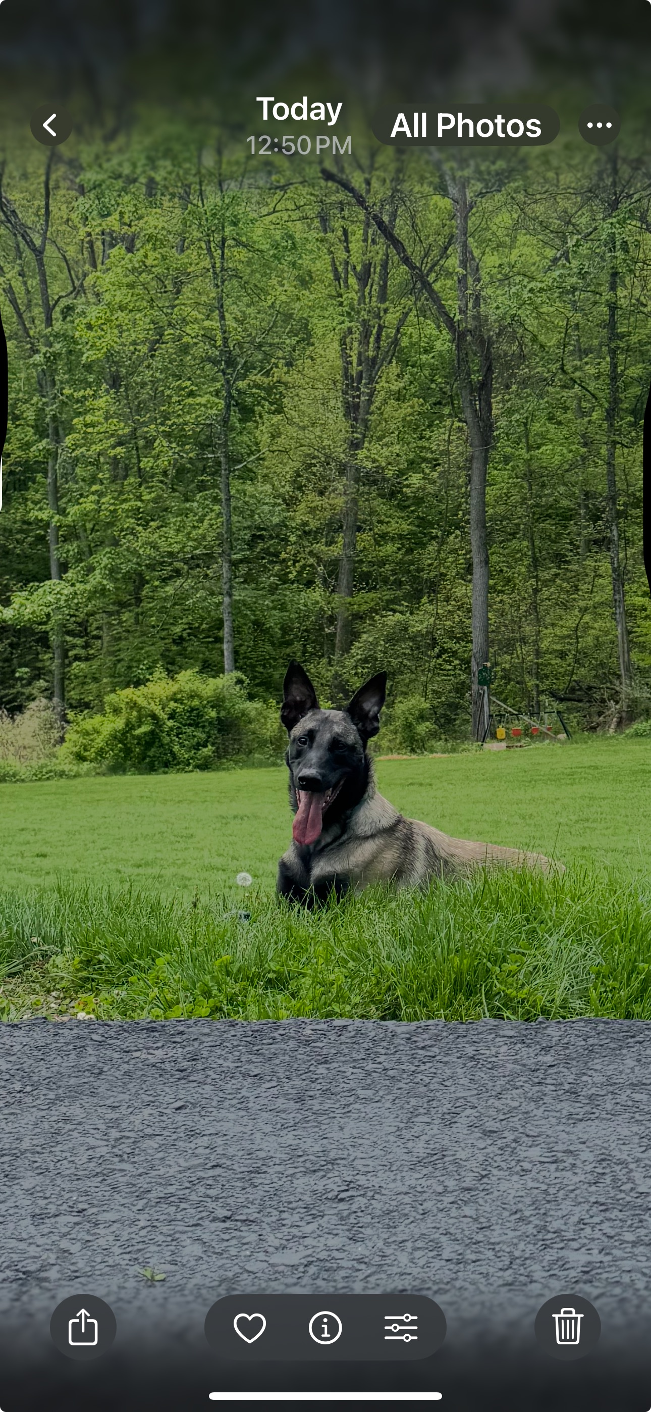 Photo Review Submission from Jeff DeSchon