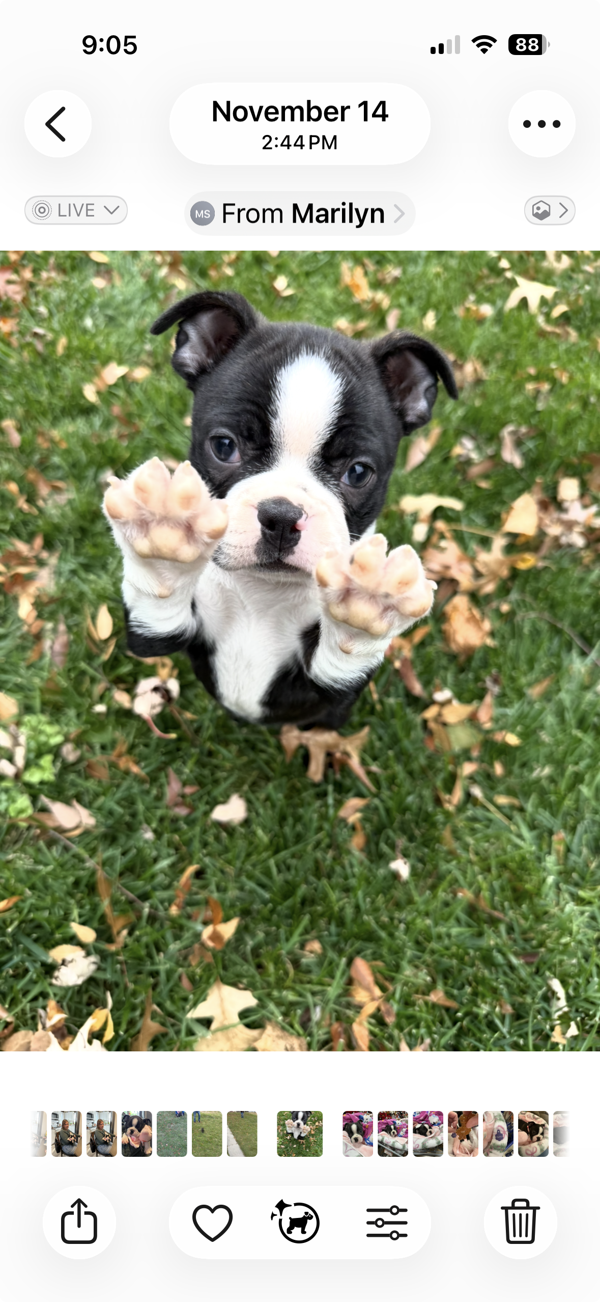 Photo Review Submission from Jennifer Arnold