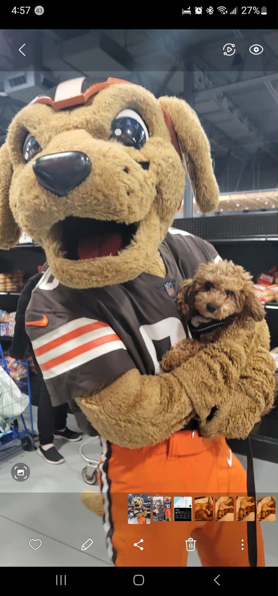 Photo Review Submission from Ronald Grimes