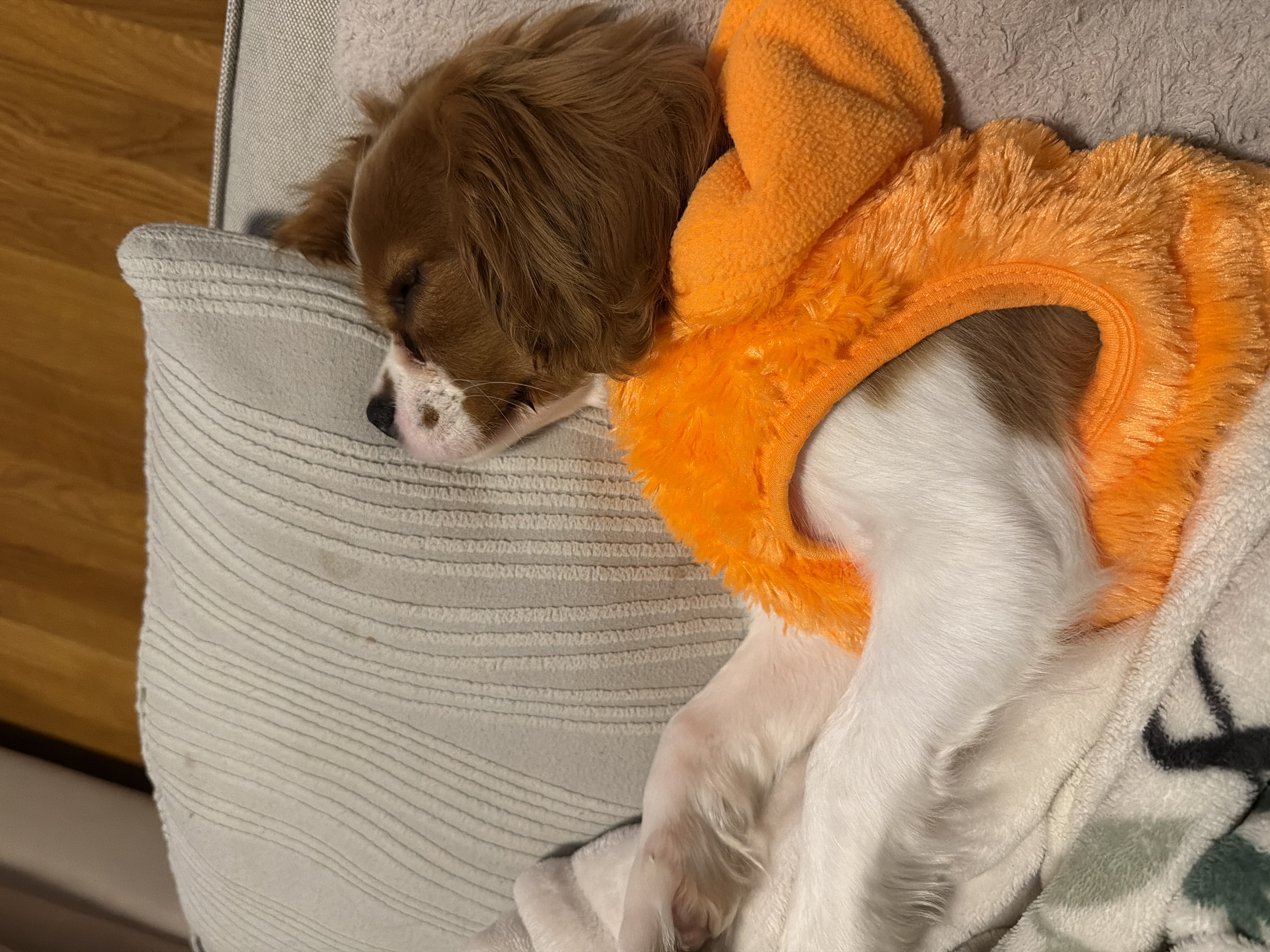 Photo Review Submission from Fausto Darin