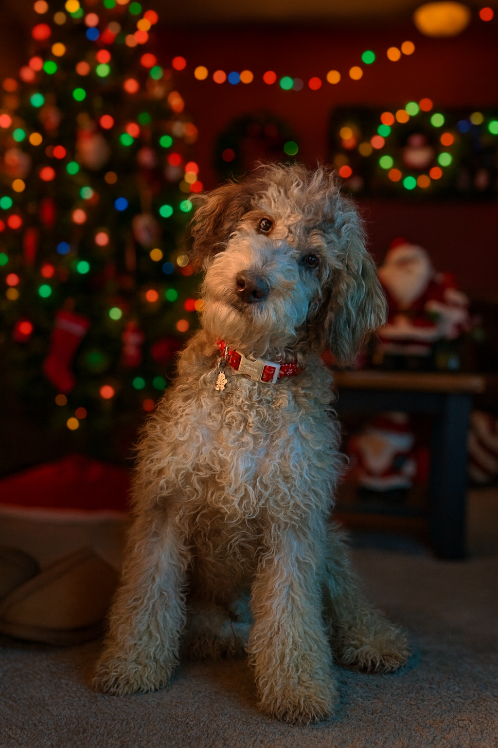 Photo Review Submission from Casey Hartman