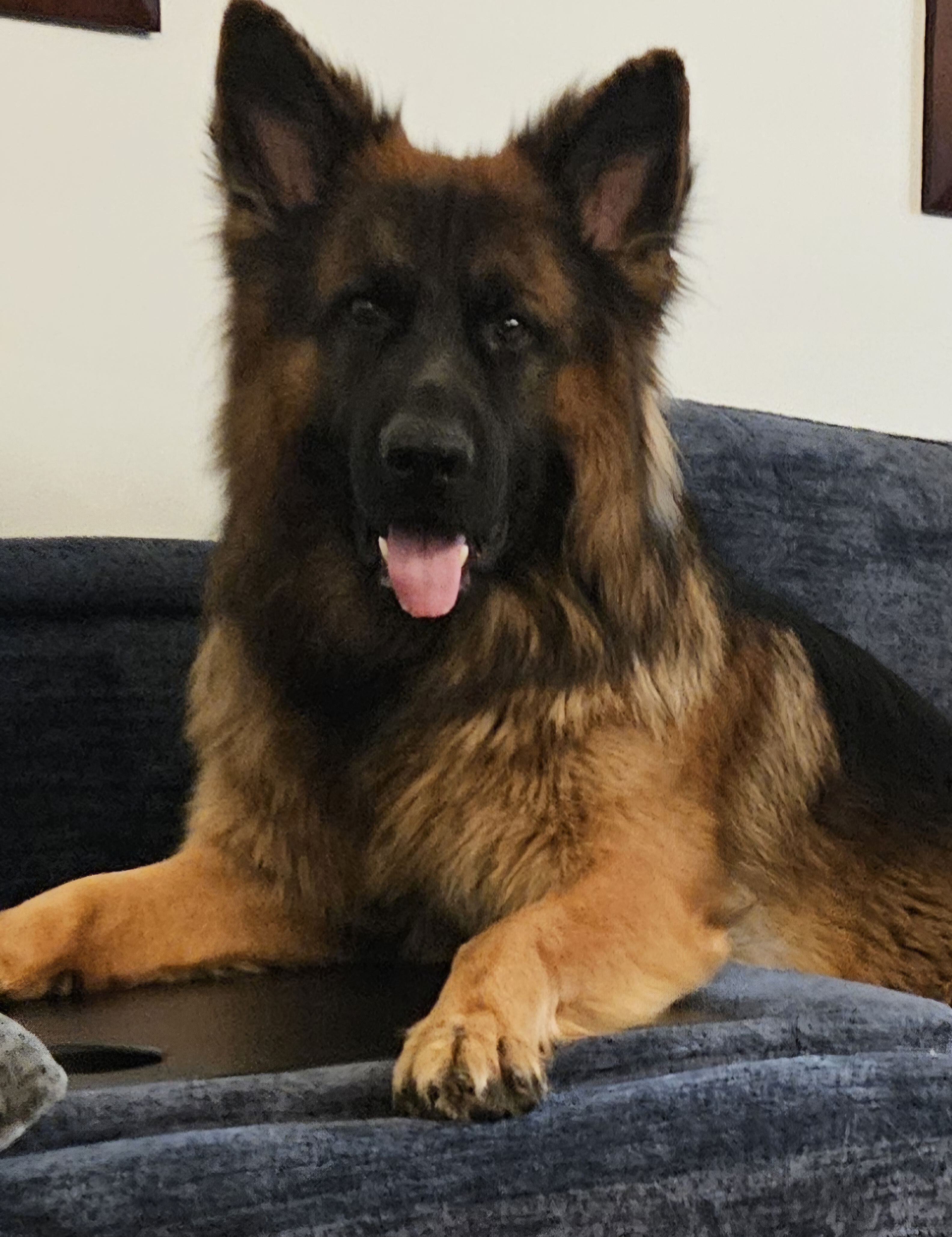 Photo Review Submission from Martha Garcia