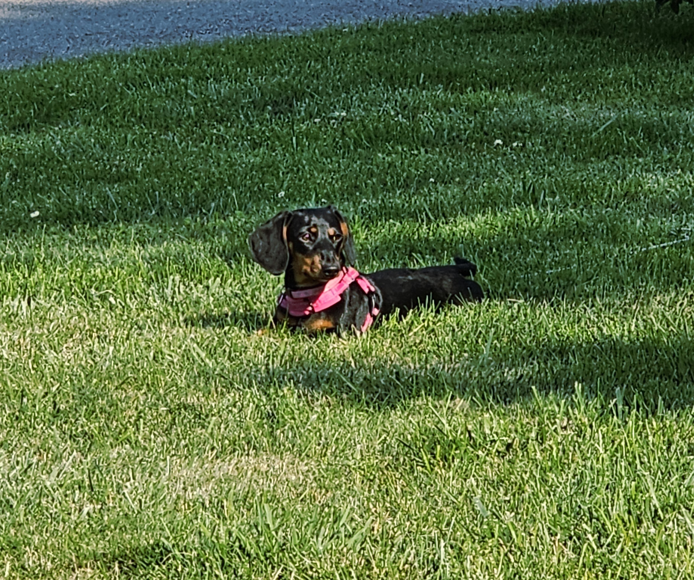 Photo Review Submission from Anne Josephs